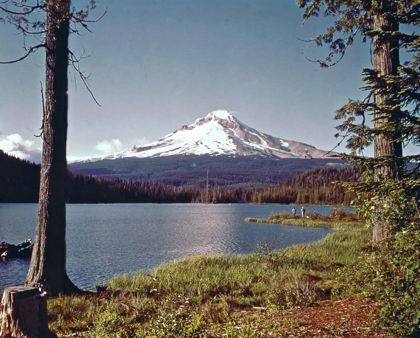 The beautiful Mount Hood in Oregon
