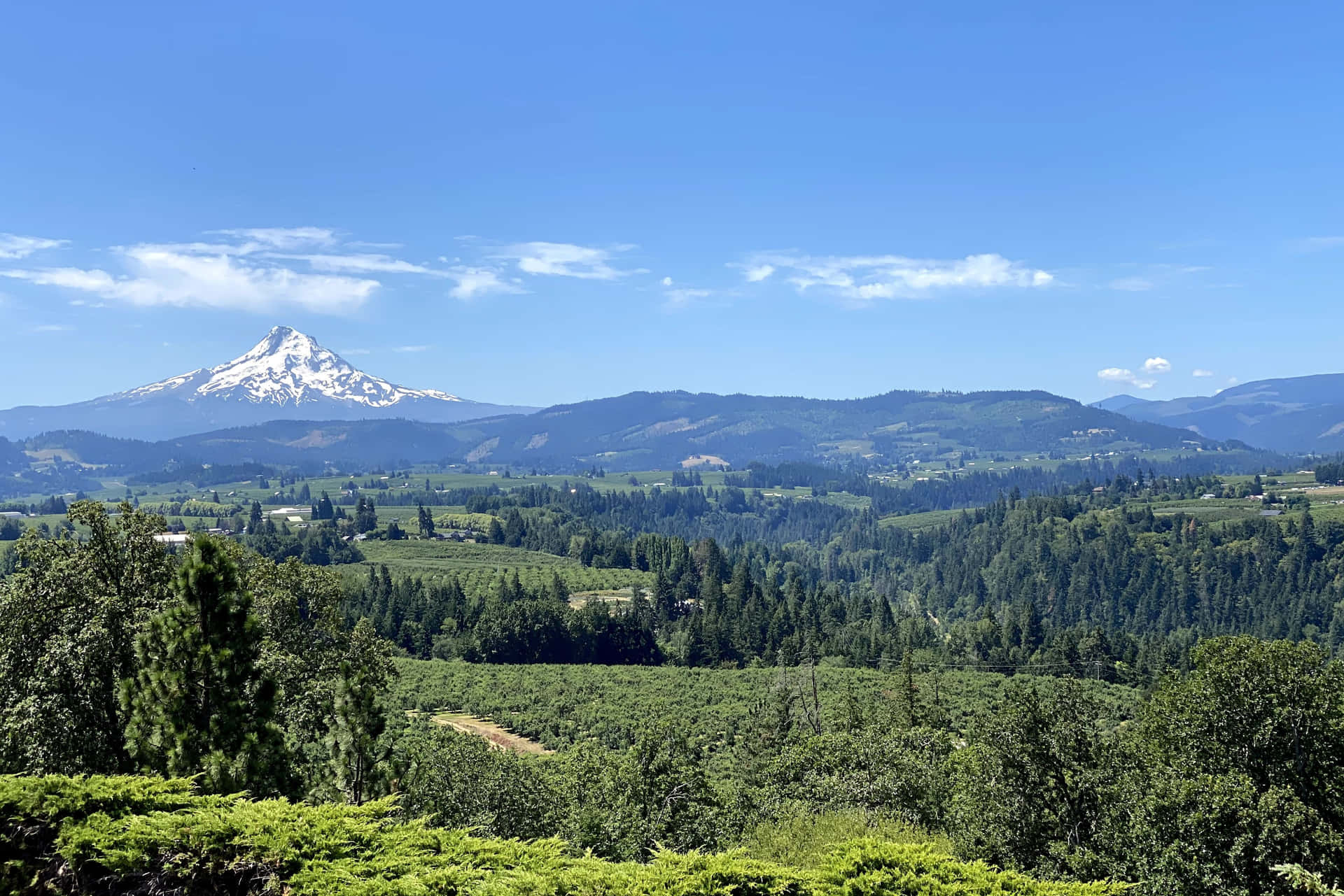 Mounthood, Oregon - Naturens Fröjd