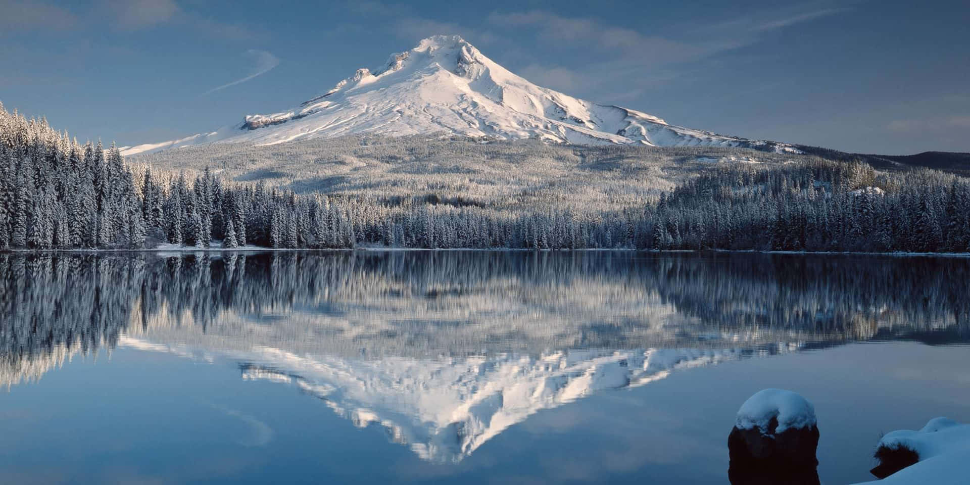 Ståtligtreser Sig – Mount Hood, Oregon