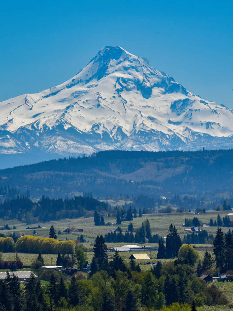 Majestic Mount Hood on a clear day in Oregon