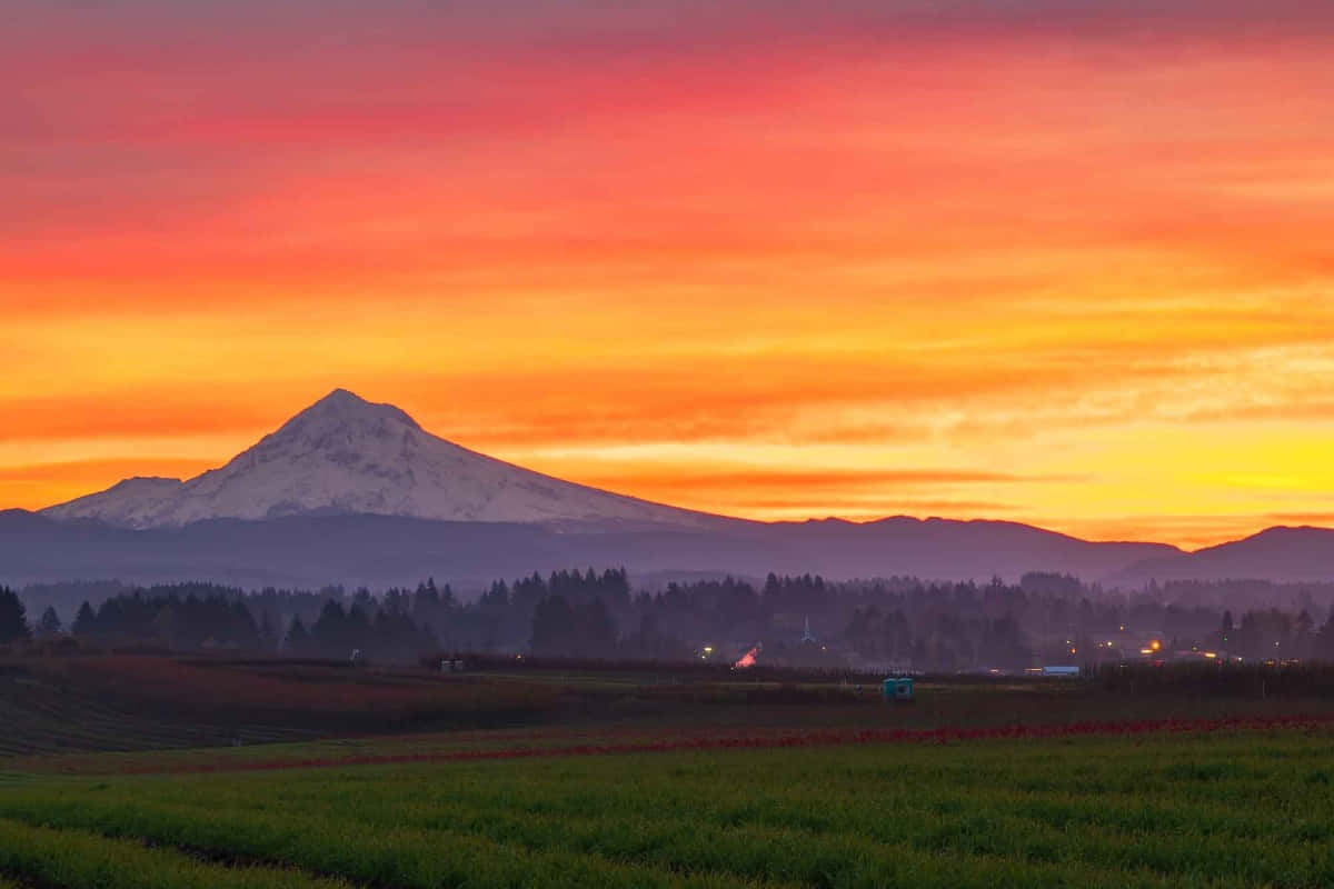 The beautiful Mount Hood towers over the idyllic forest of Oregon.