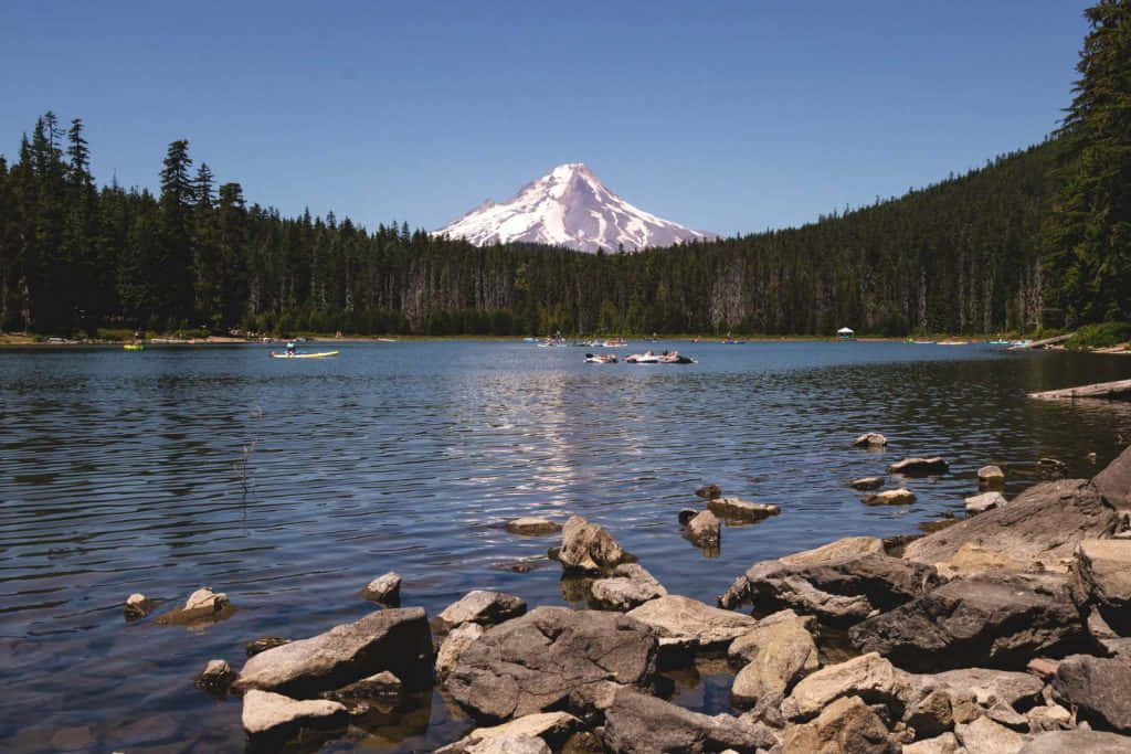 View of Mount Hood reflected in Mirror Lake, Oregon