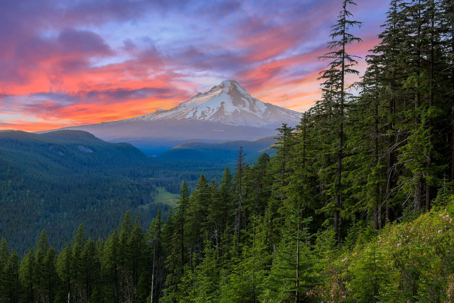 Beautiful view of the snow-capped Mount Hood in Oregon.