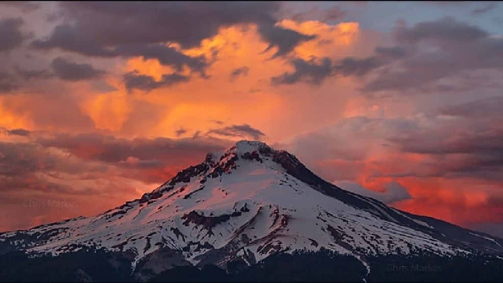 Detmajestätiska Mount Hood I Oregon