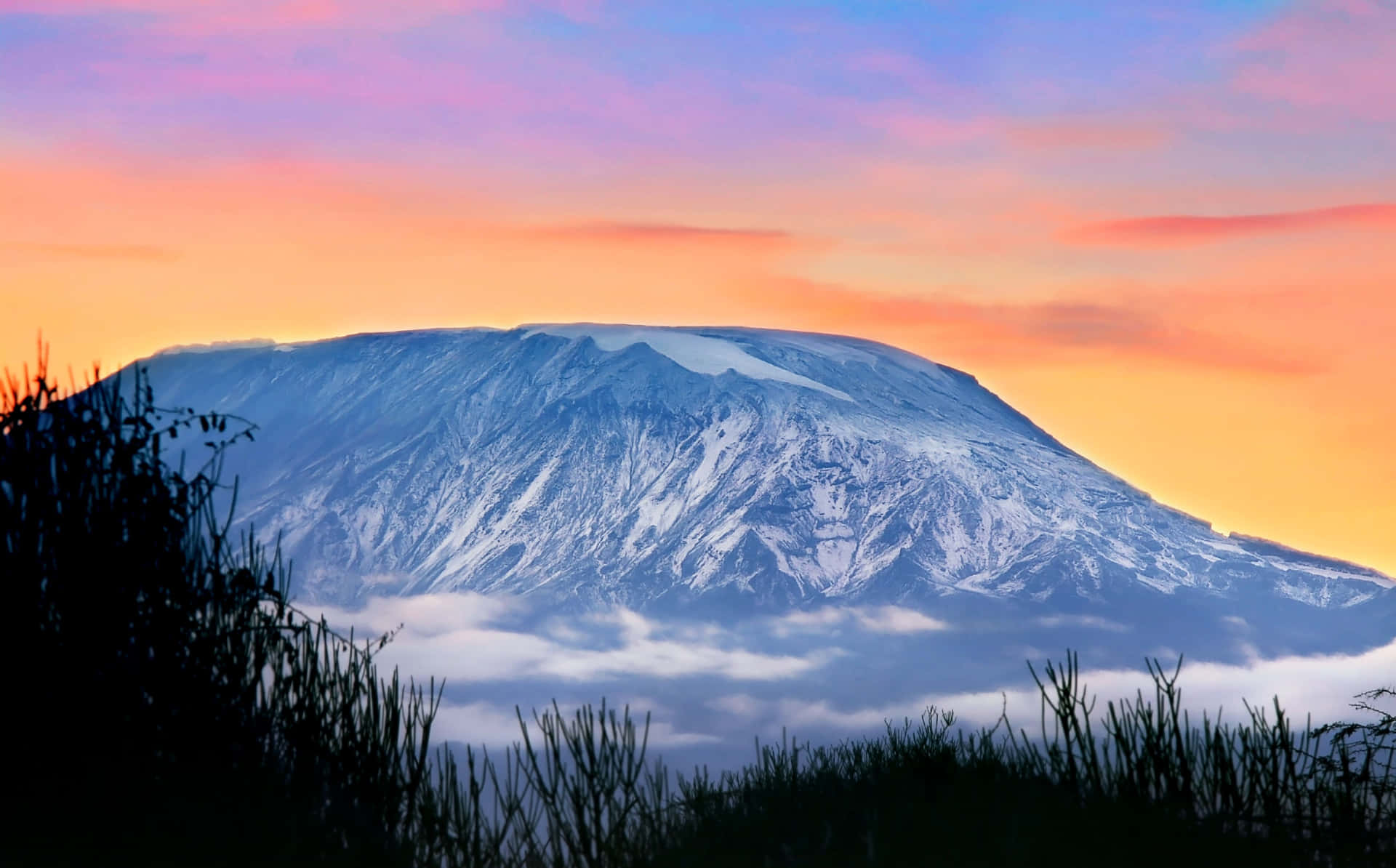 Mount Kilimanjaro At Sunset Background