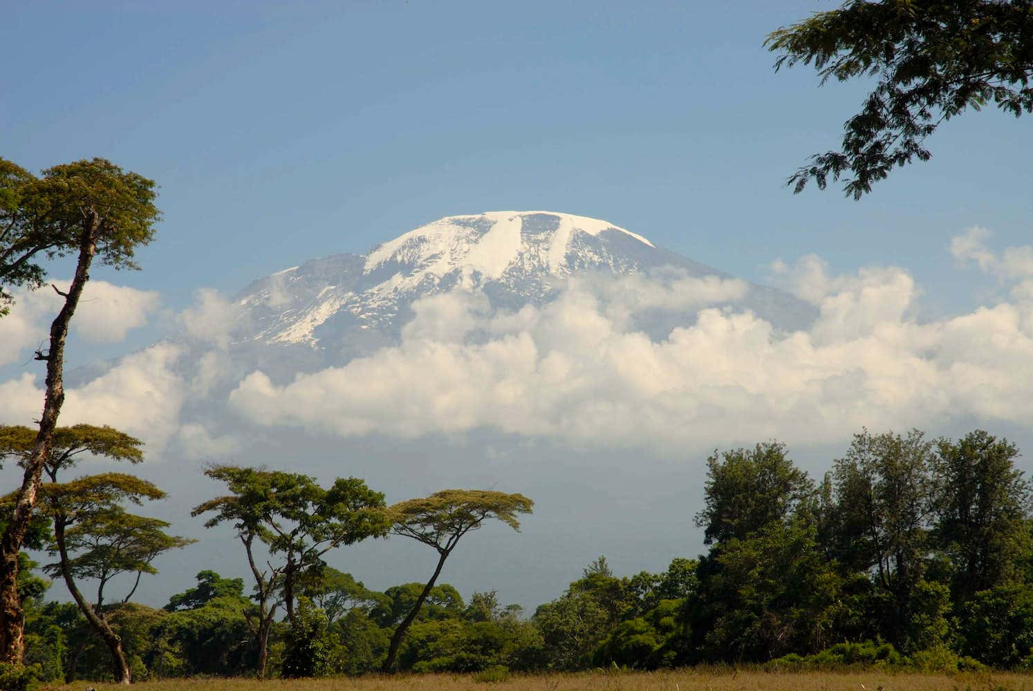 Mount Kilimanjaro Covered By Clouds Background