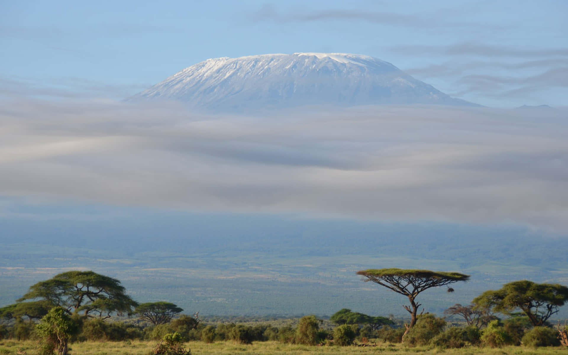 Mount Kilimanjaro Scenery Background