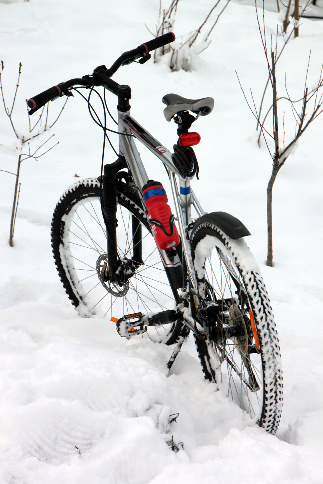 Mountain Bike At Snow