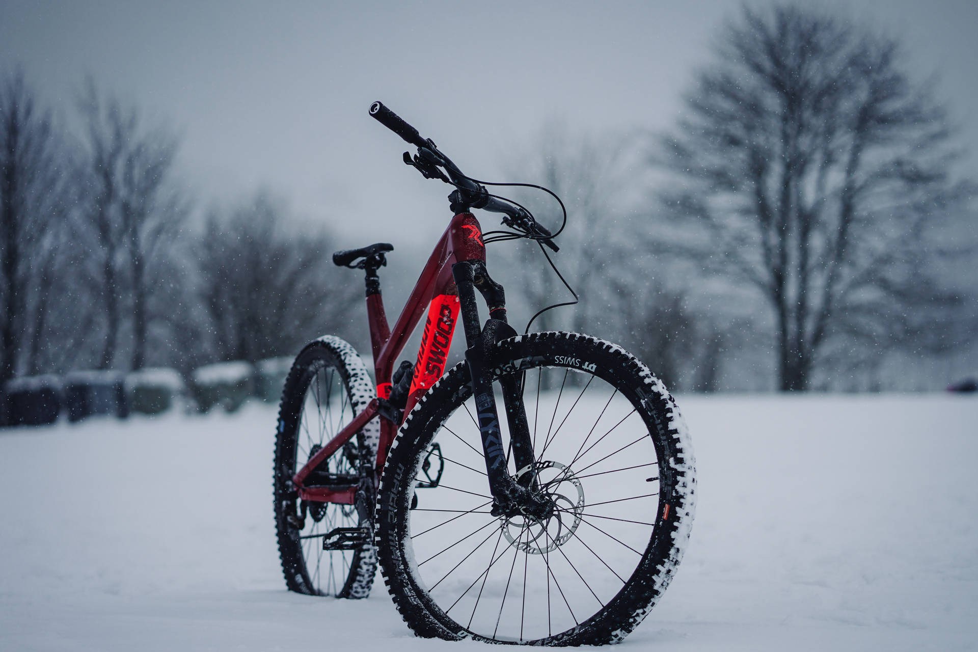 Mountain Bike In Winter