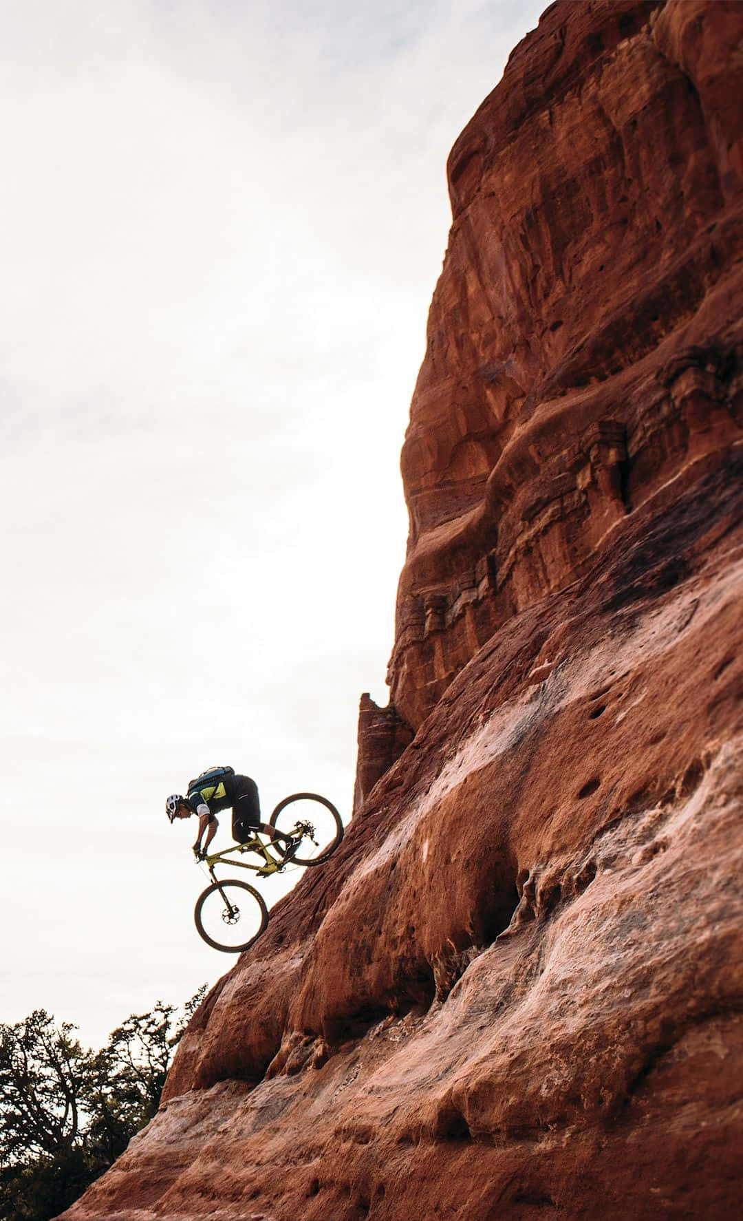 Mountain Bike Iphone Wallpaper