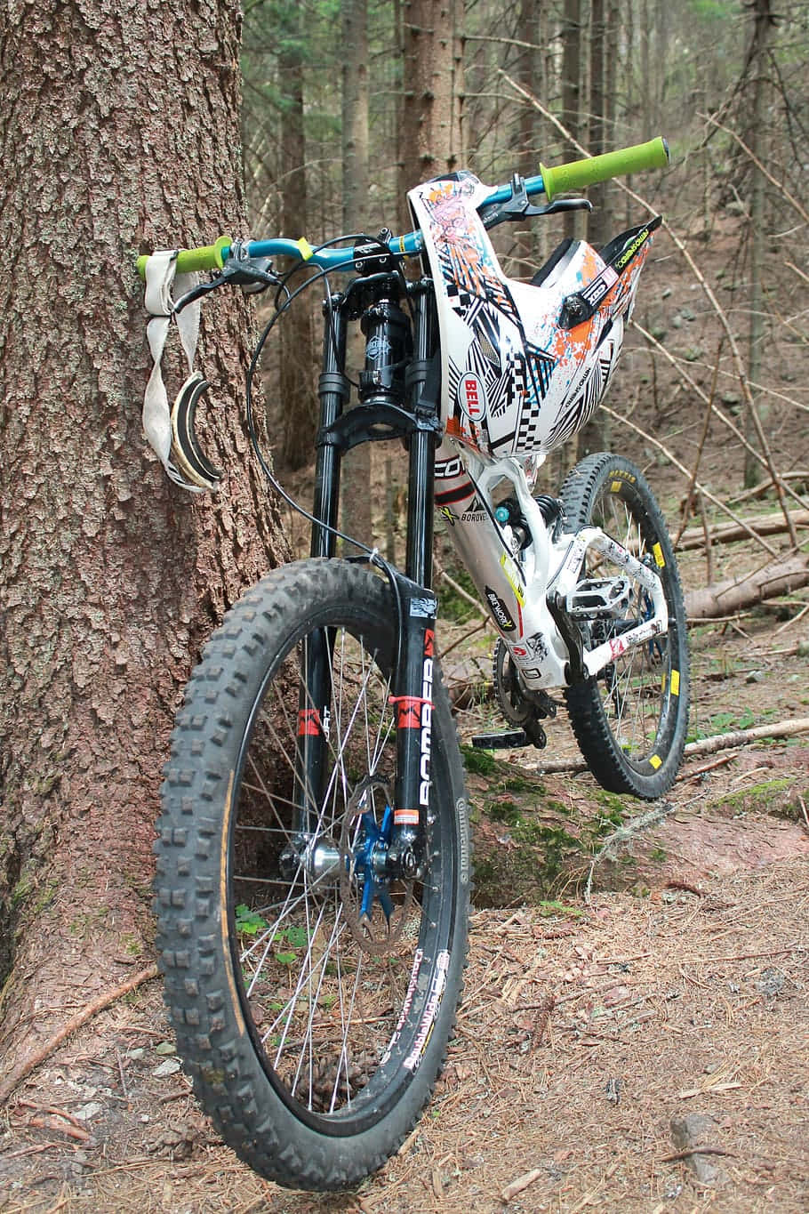 Mountain Bike Leaning Against Tree Wallpaper