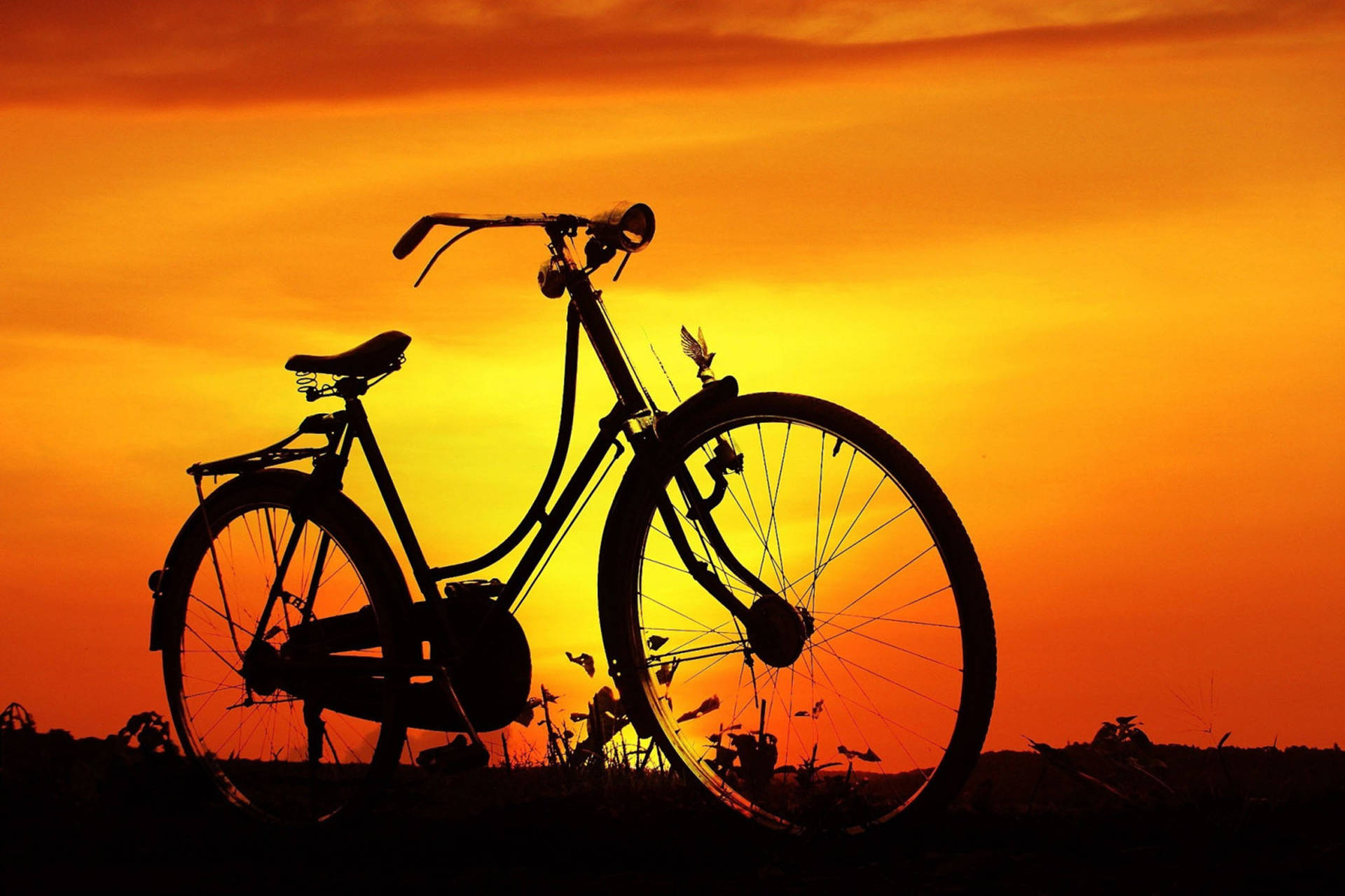 Mountain Bike Sunset Silhouette