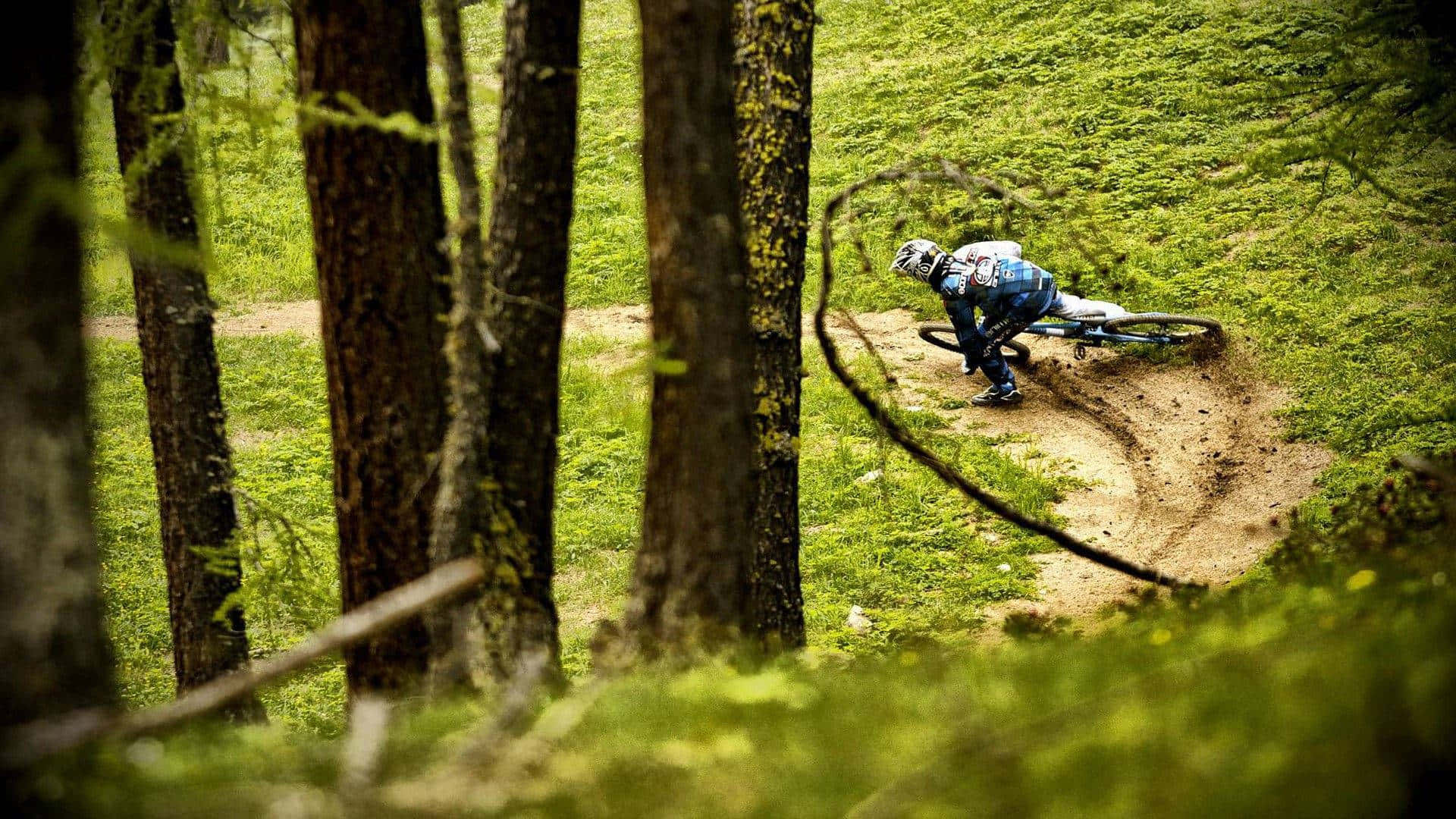Mountain Biker Speeding Through Forest Trail.jpg Wallpaper