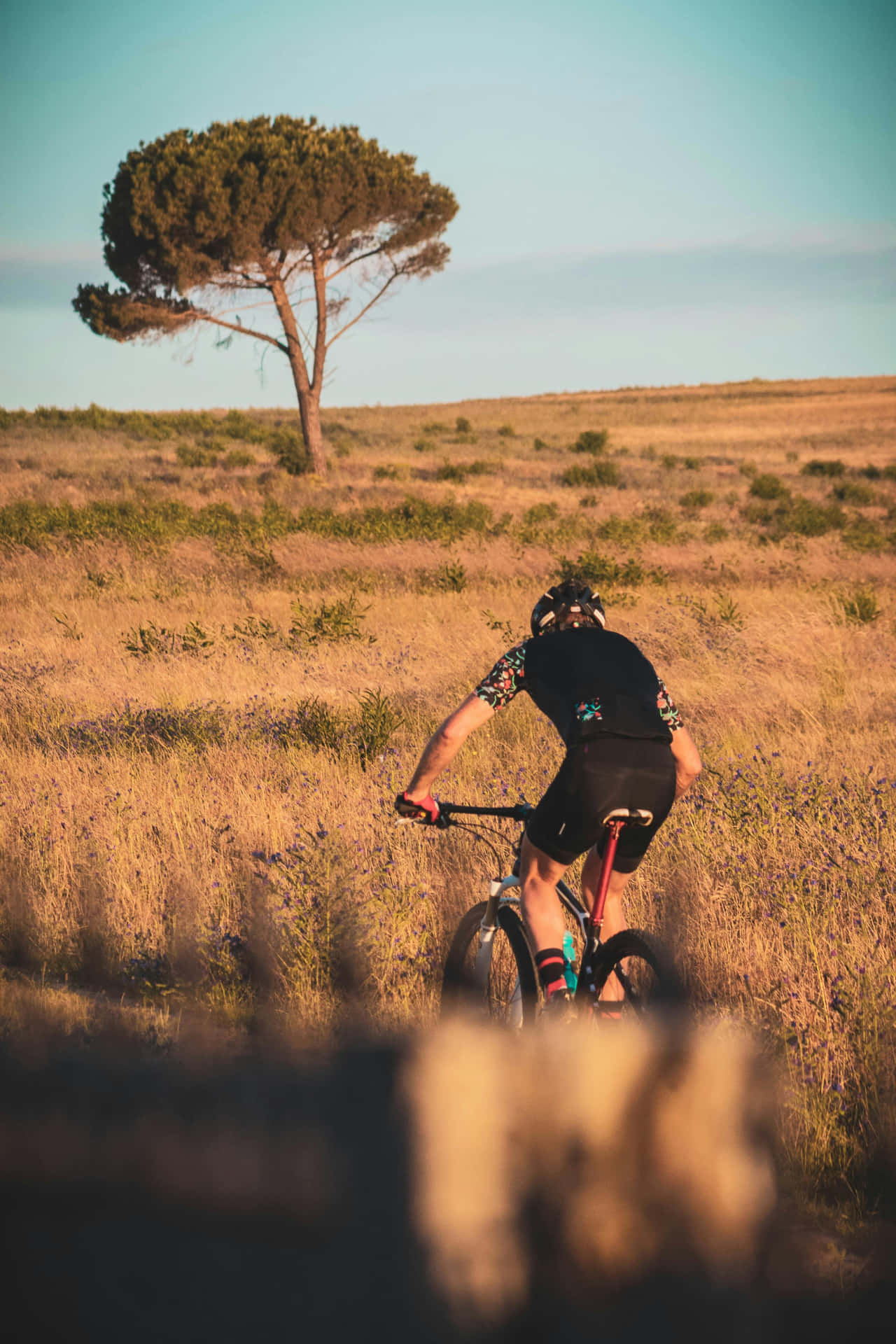 Mountain Biker Sunset Ride.jpg Wallpaper