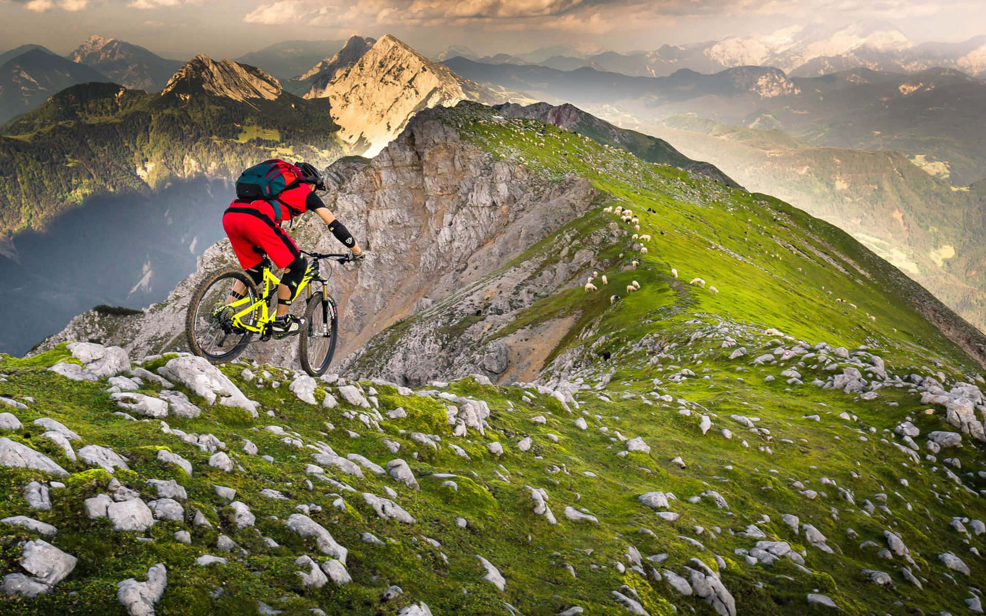 Mountain Biking Edge Alpine Adventure Wallpaper