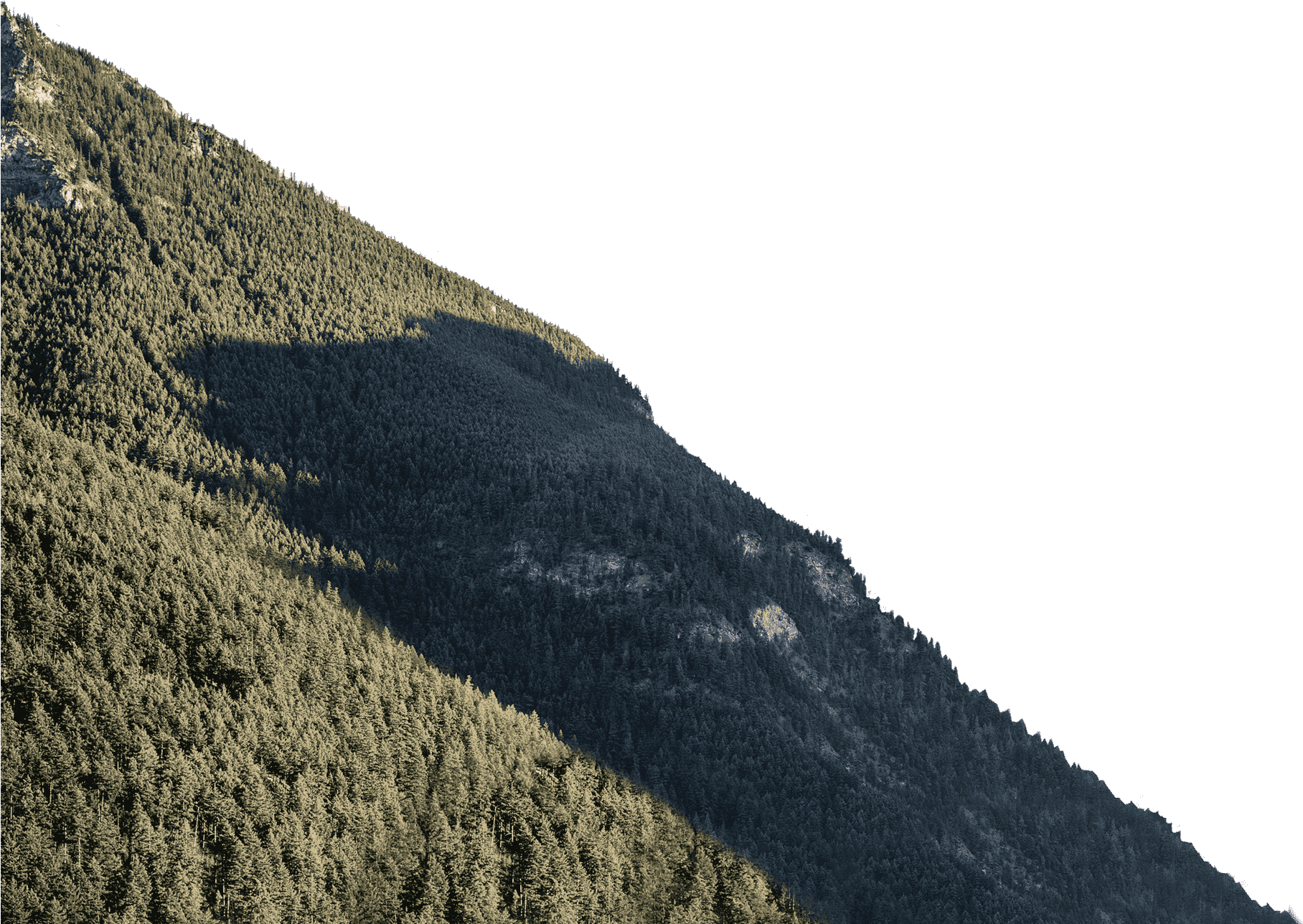 Mountain Forest Summit Gradient PNG