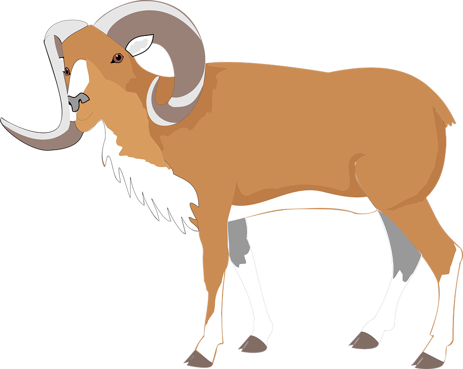 Mountain Goat Illustration PNG