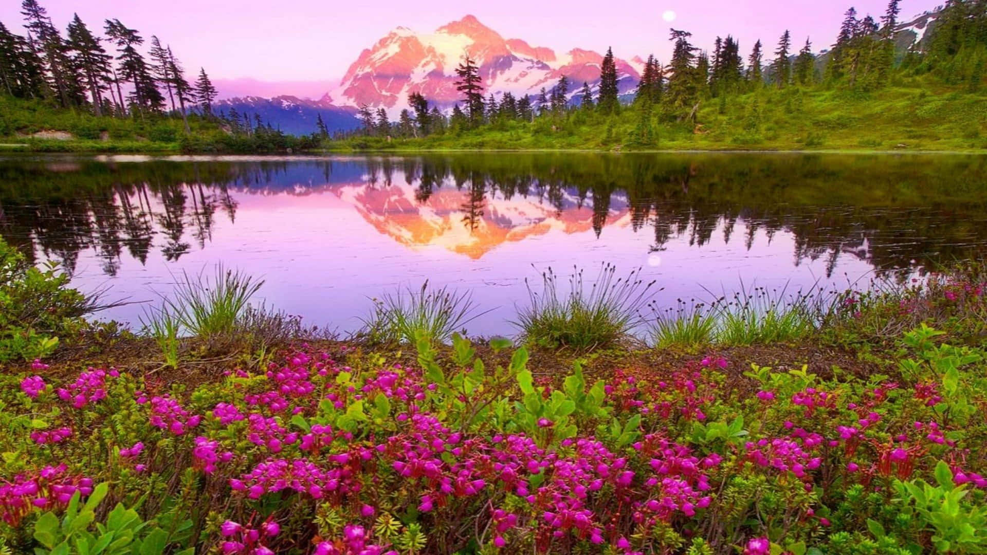 Mountain Lake Sunset Reflection Utopia Wallpaper