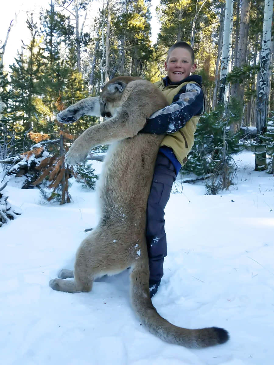 Kid Lifting Mountain Lion Picture