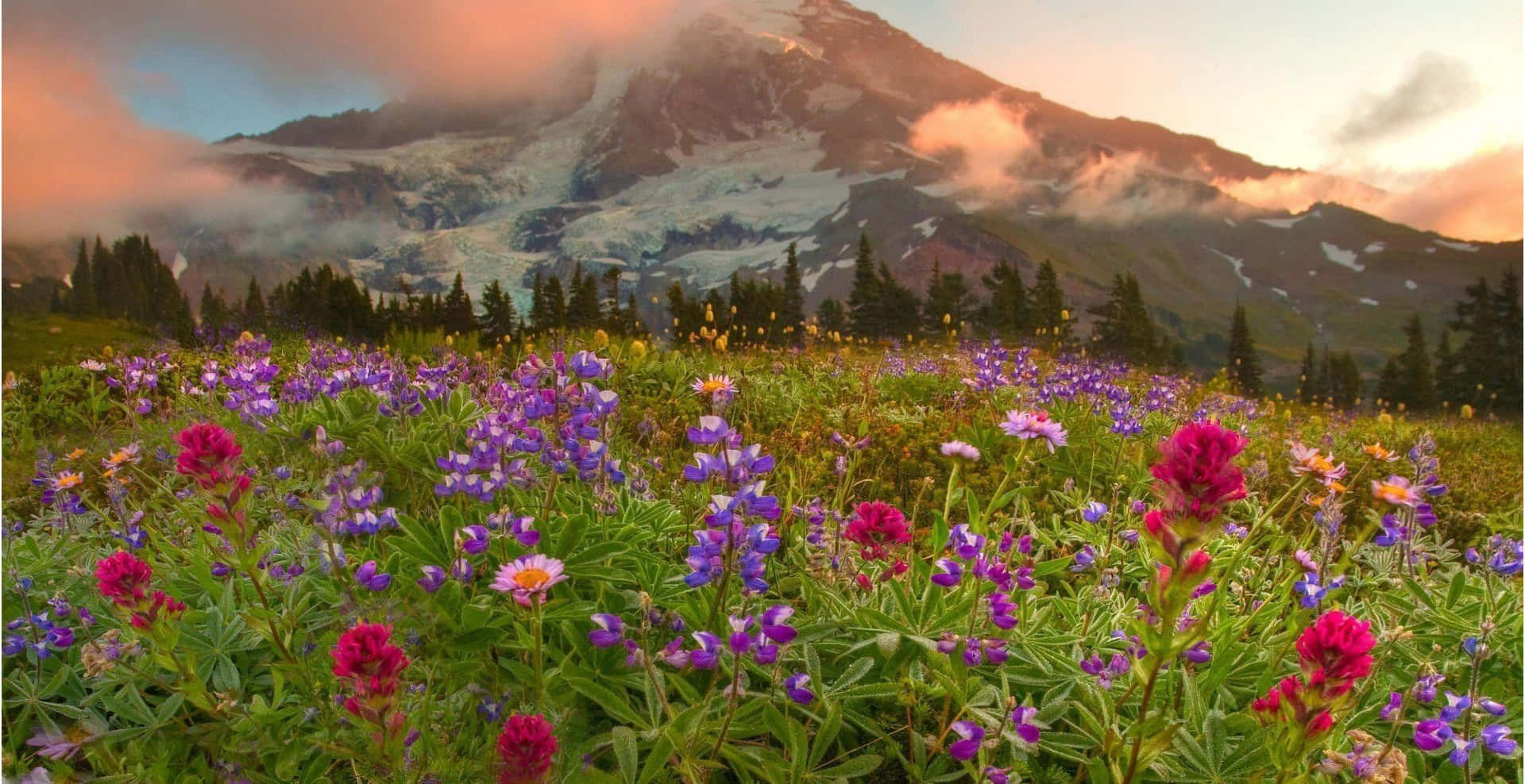 Padang Rumput Gunung Saat Senja Wallpaper