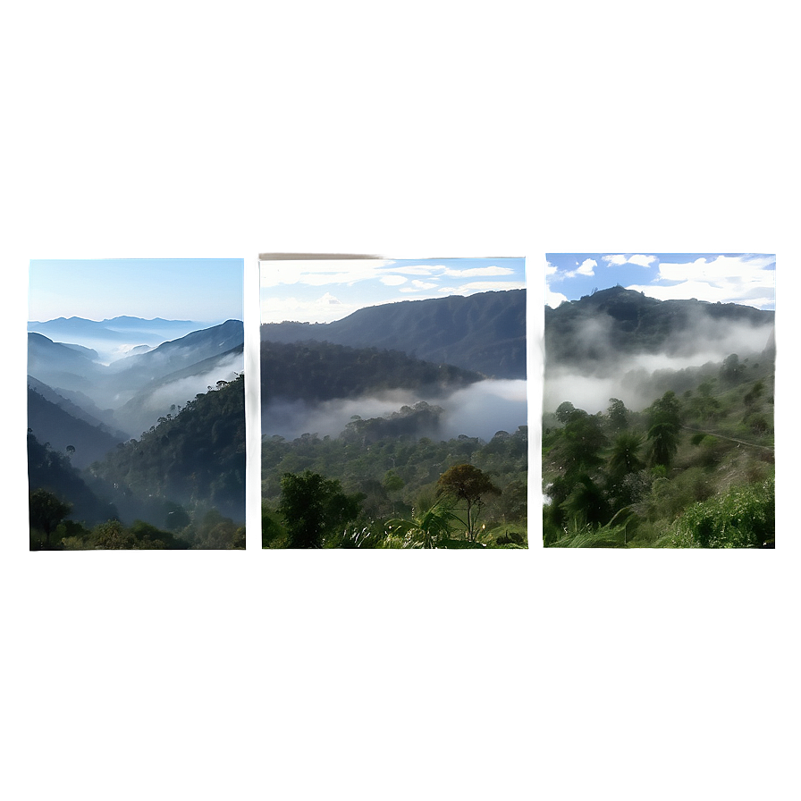 Mountain Mist View Png Kjm PNG
