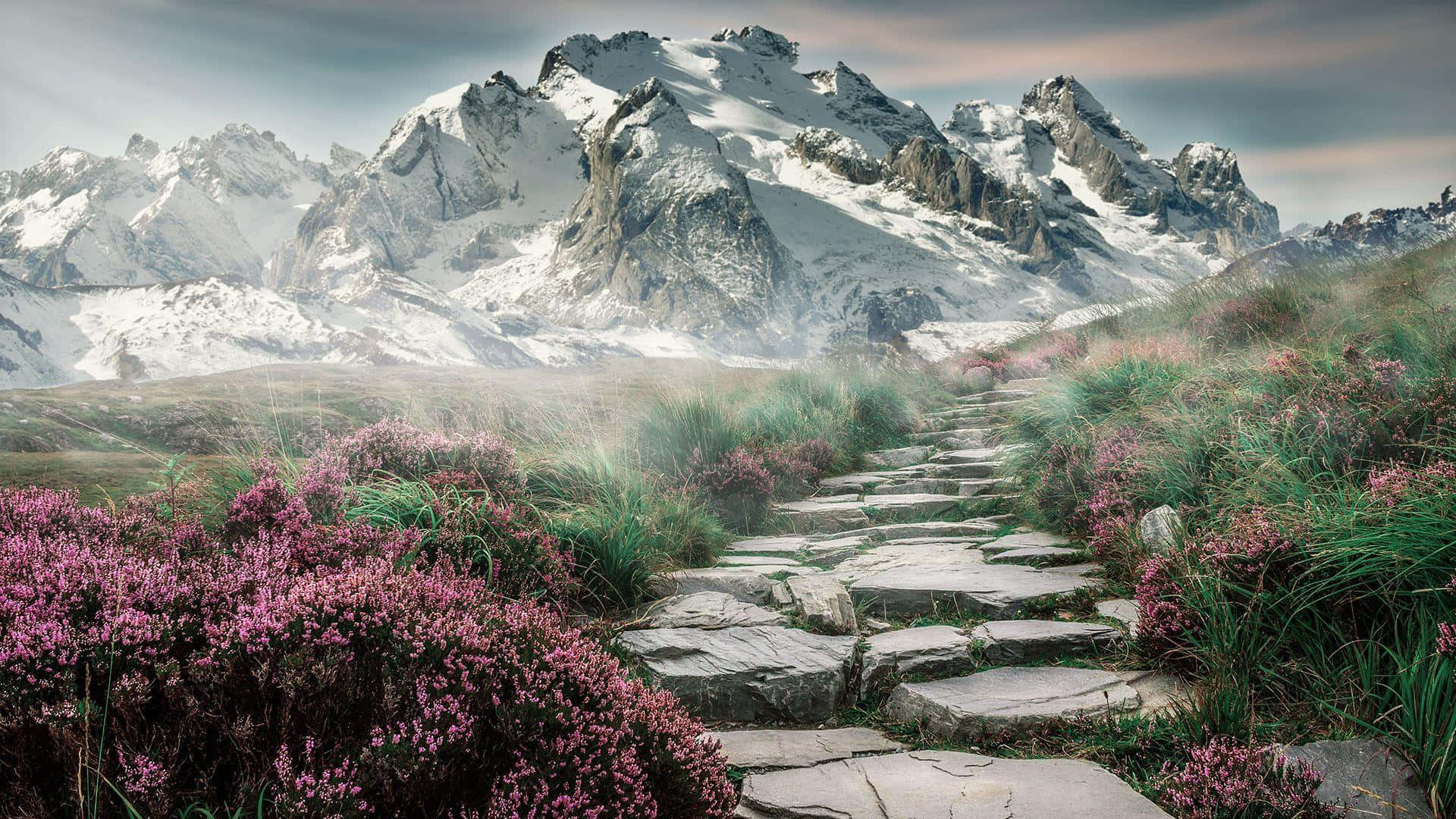 Mountain_ Pathway_ Amidst_ Flowers.jpg Wallpaper