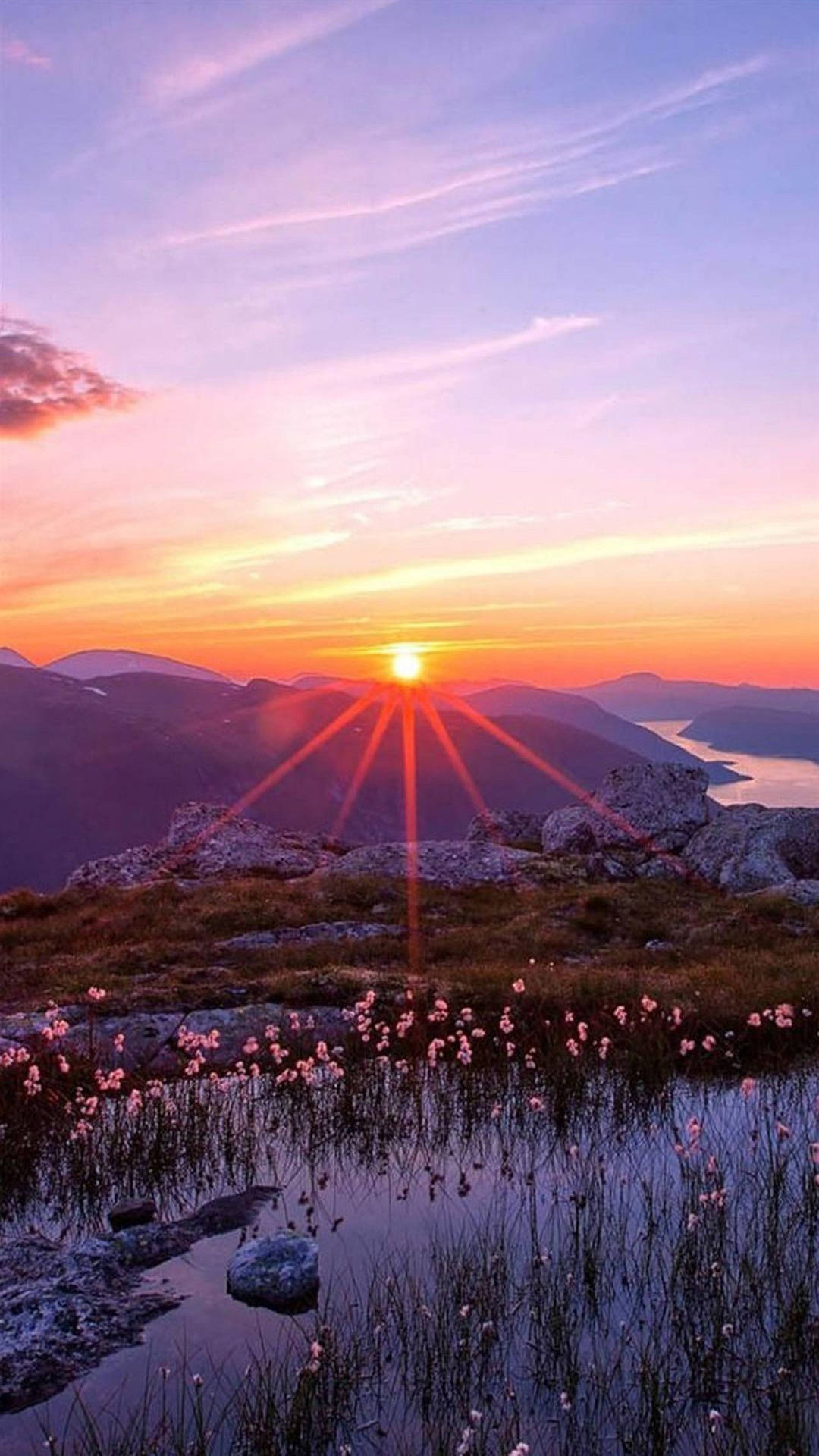 Unlock Nature's Beauty With A Sunrise At A Mountain Pond Wallpaper