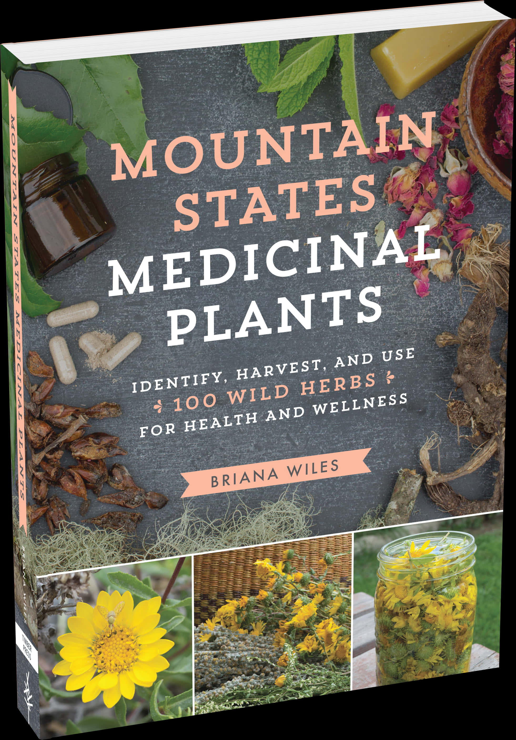 Mountain States Medicinal Plants Book Cover PNG