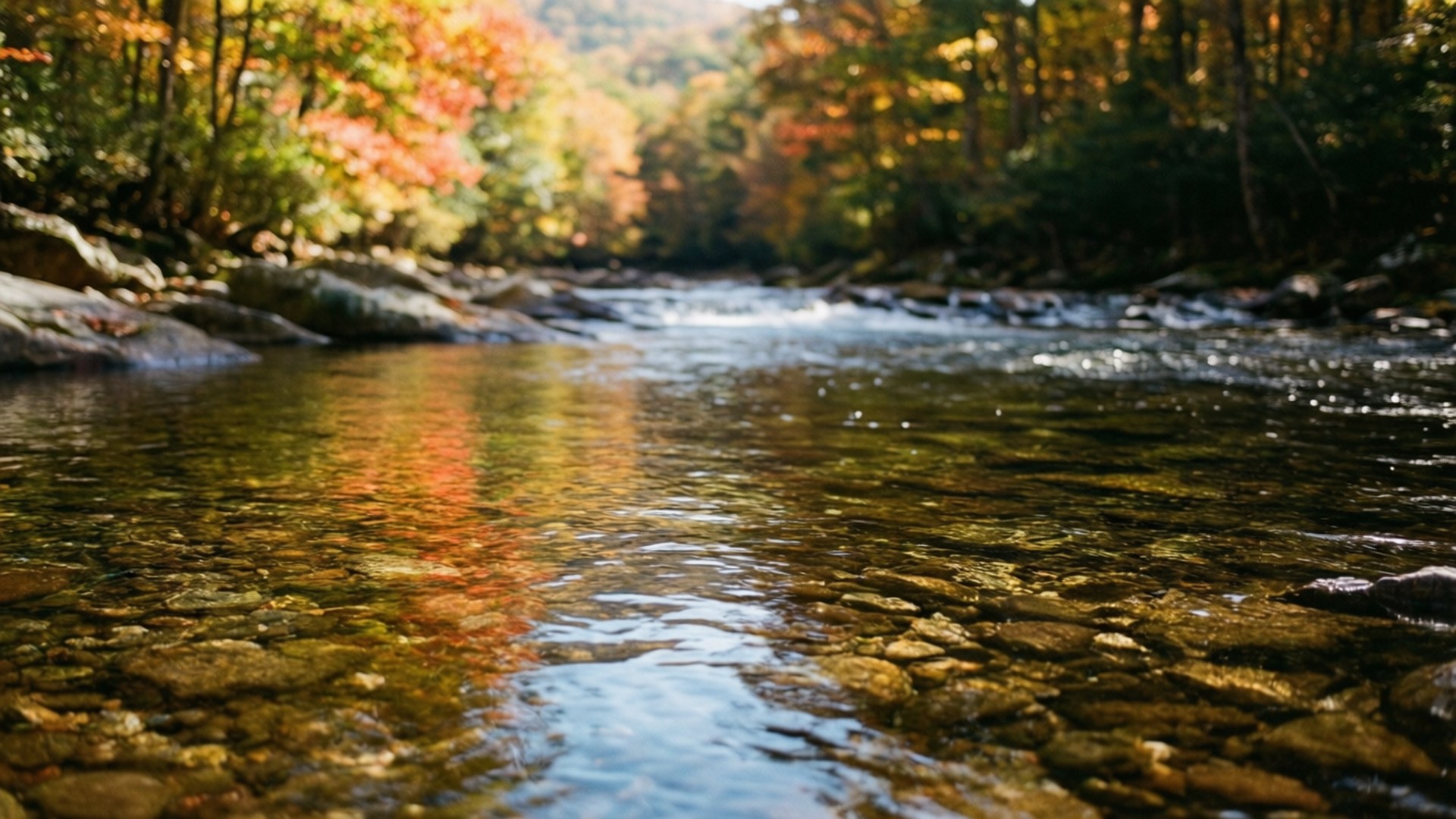 Mountain Stream Reflection Wallpaper