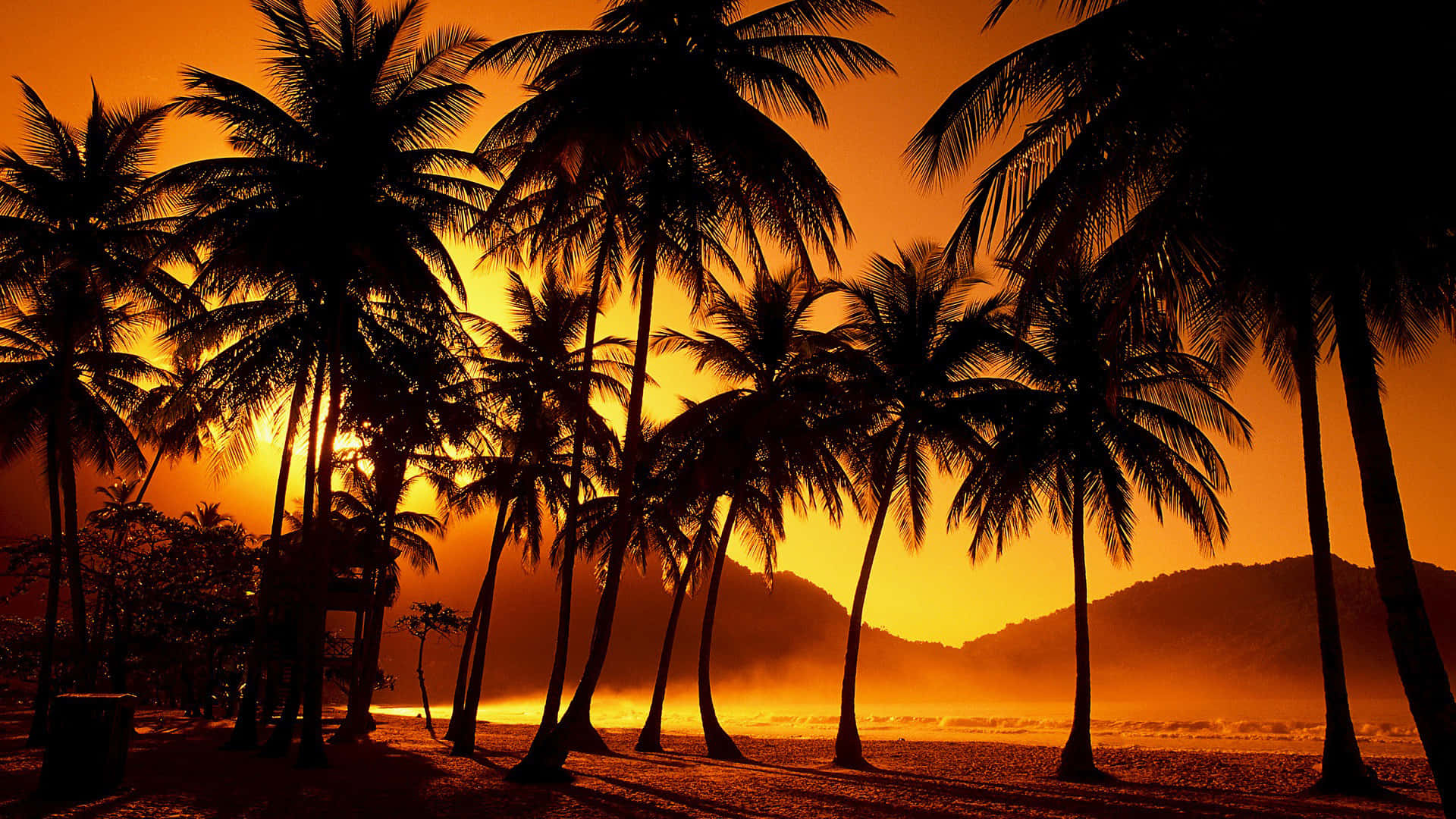 Mountain Sunset With Palm Tree Wallpaper