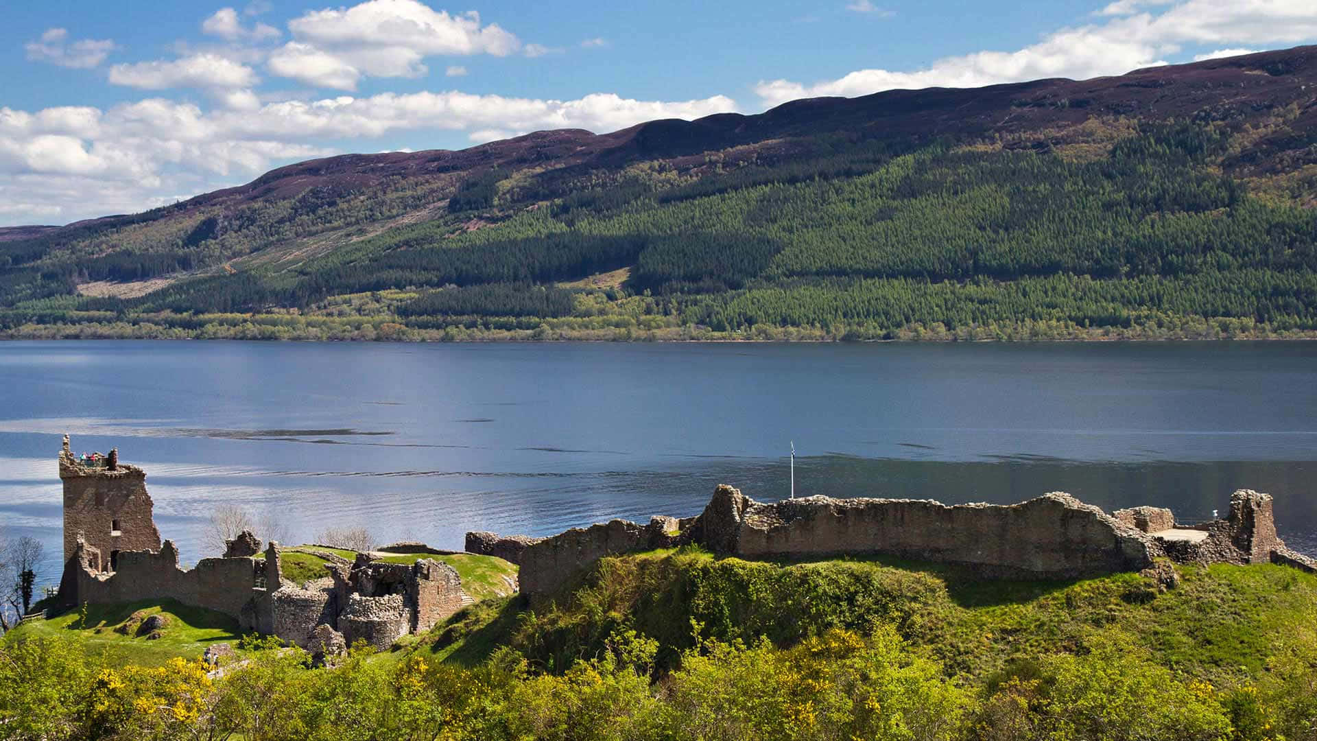 Mountain View At Loch Ness Lake Wallpaper