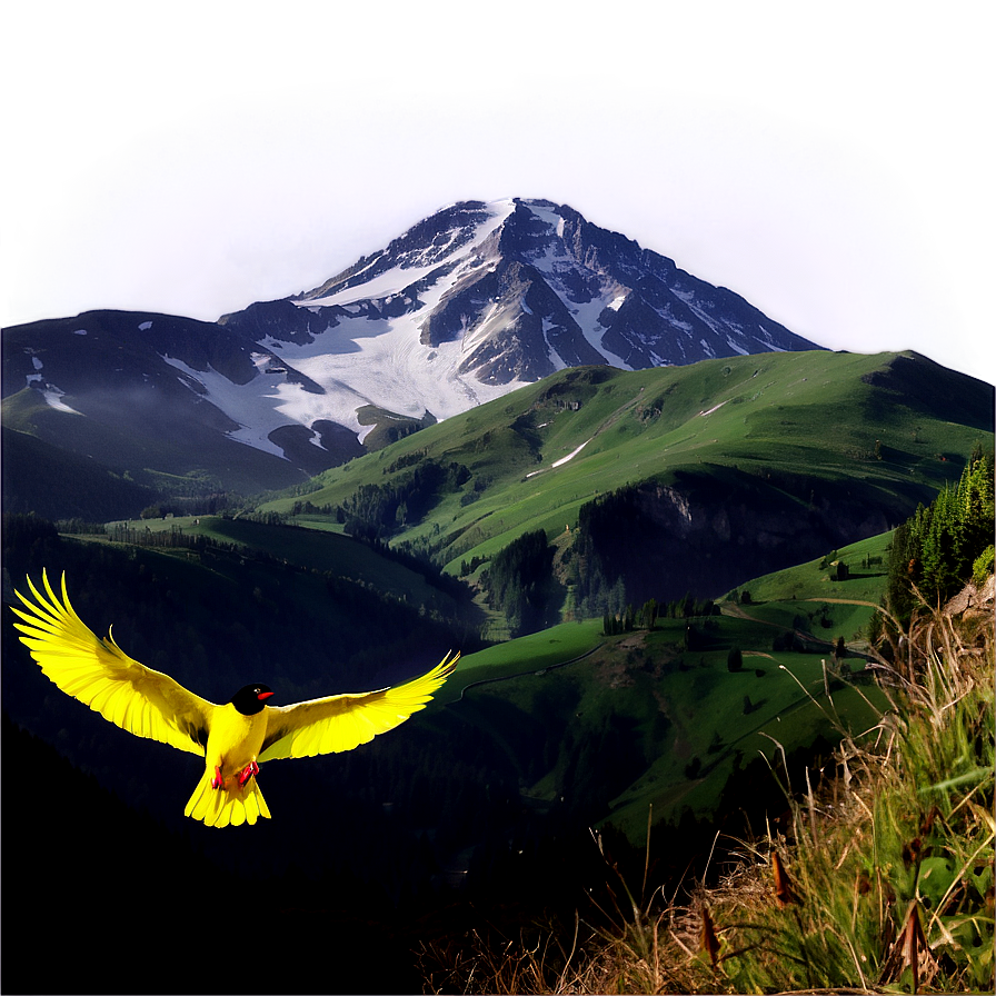 Mountain With Birds Png 05032024 PNG