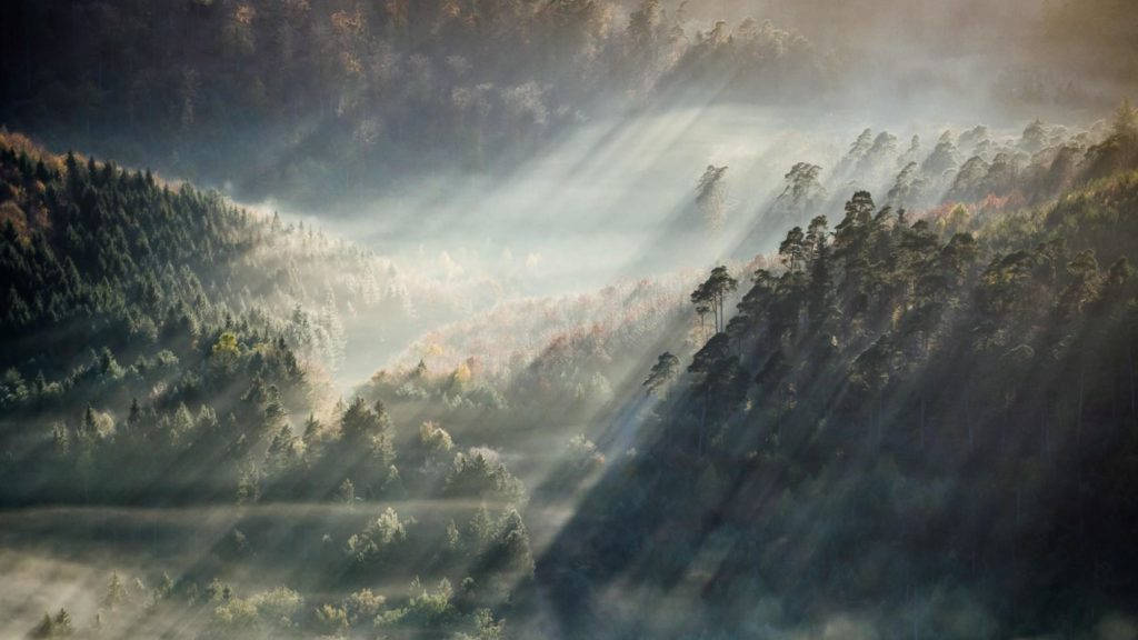 Et bjergområde med tåget skovbokeh Wallpaper