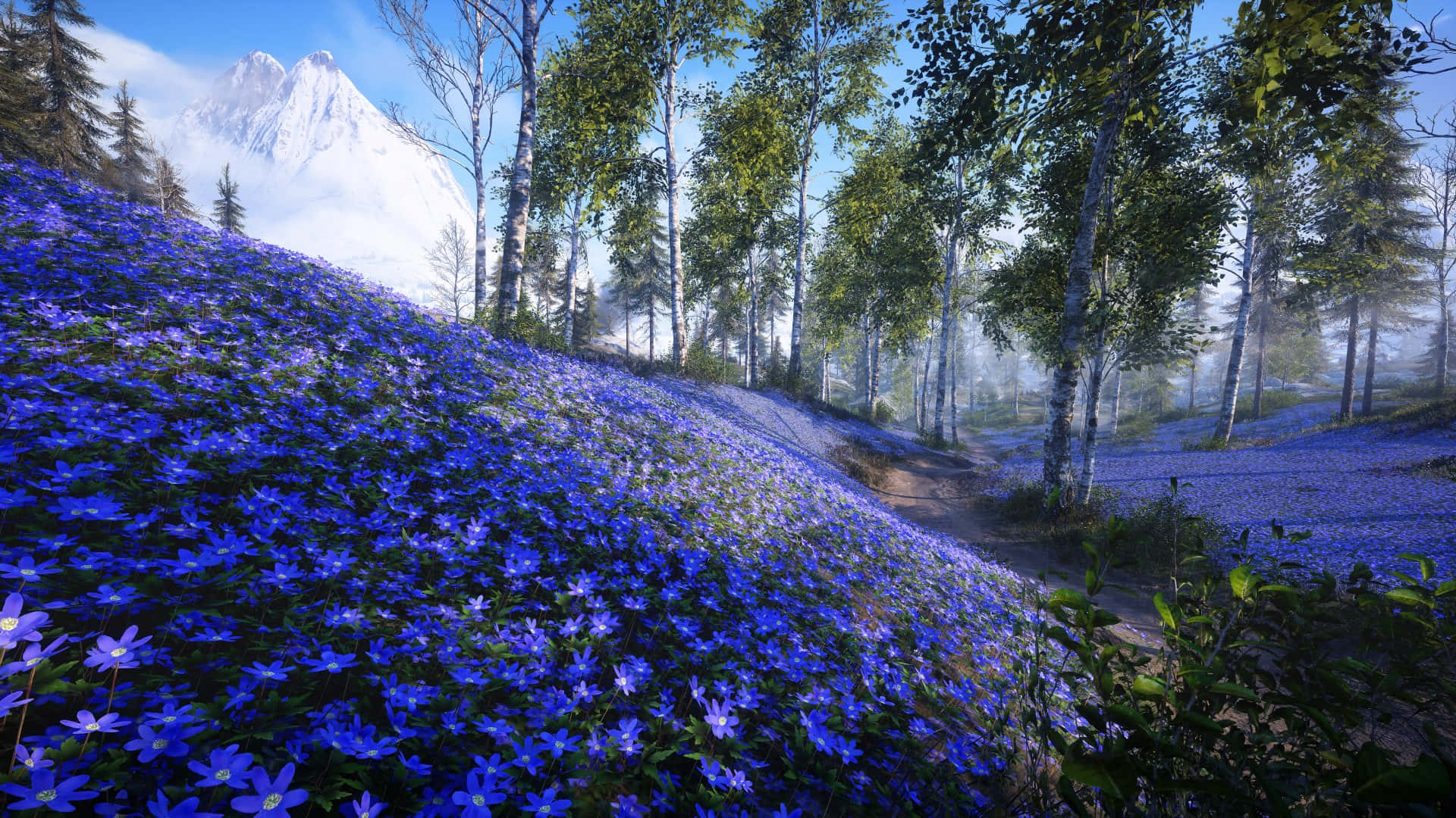 Mountainous_ Bluebell_ Woodland_ Scene Wallpaper