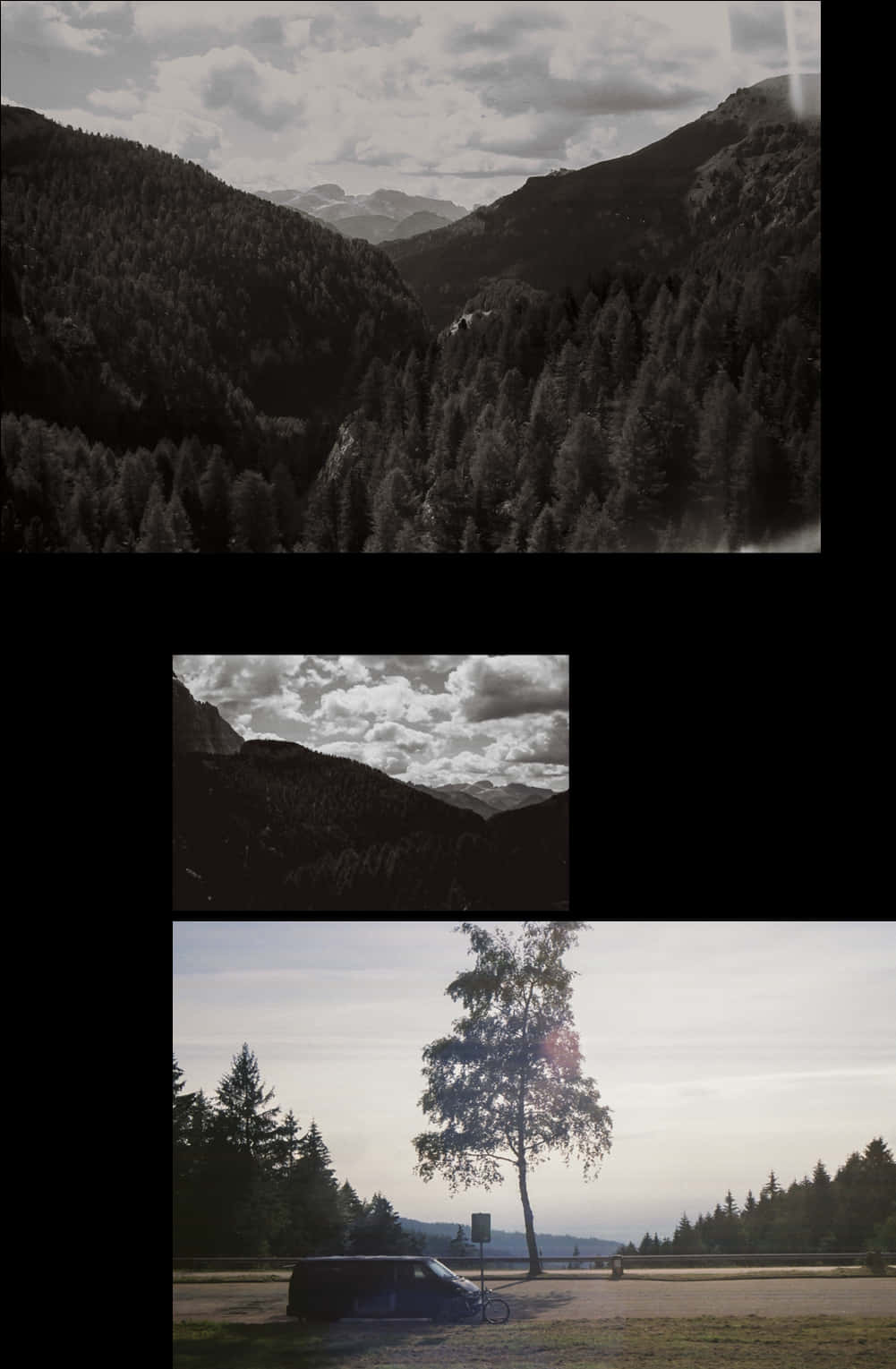 Mountainous_ Forest_ Scenery_ Collage PNG