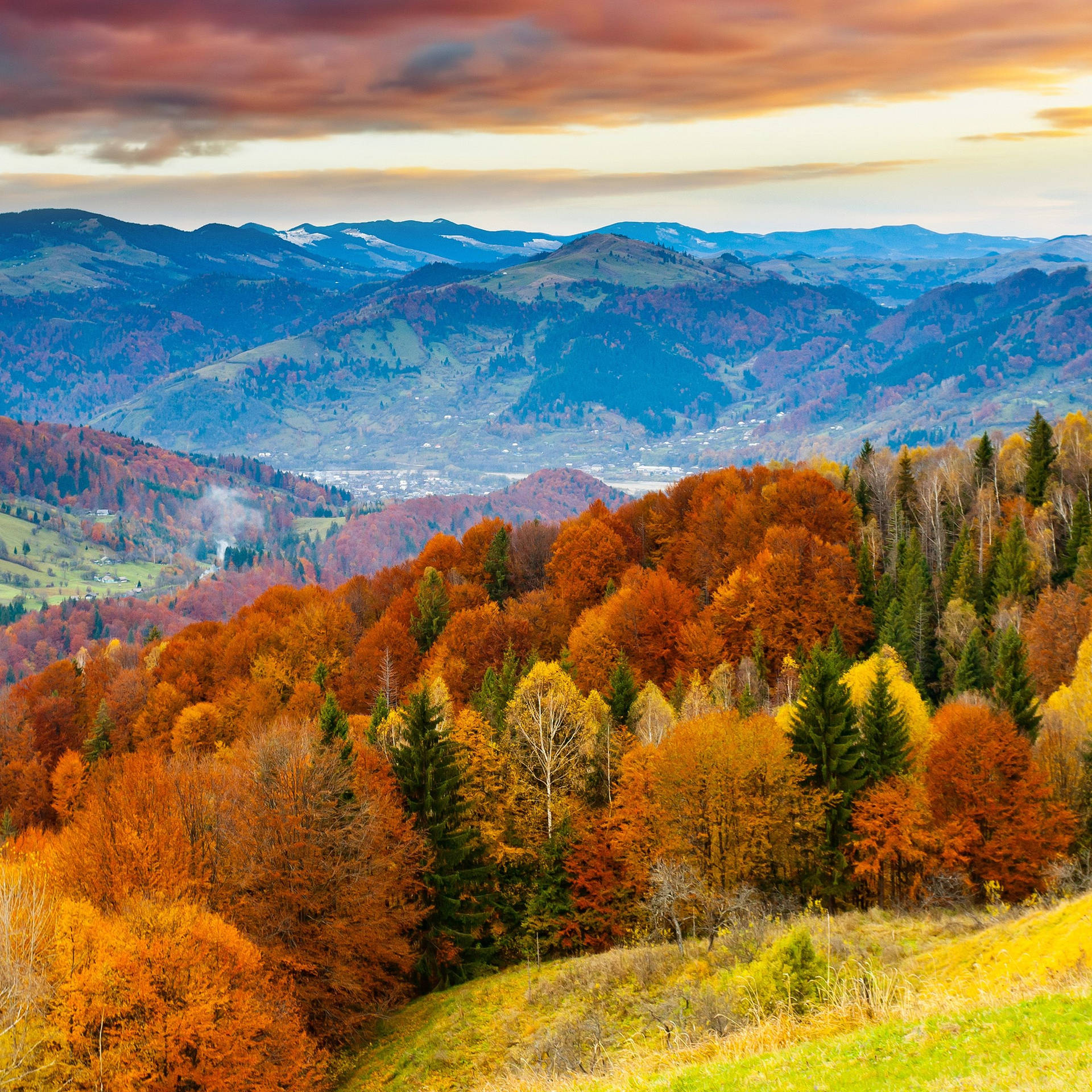 Experience the beauty of Fall among the colorful trees Wallpaper