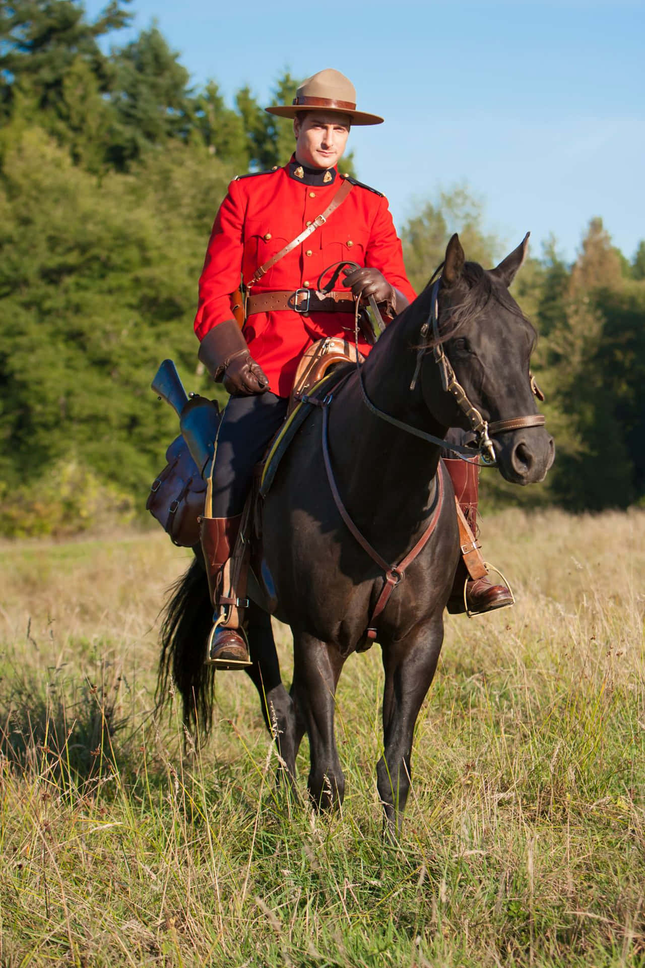 Officier De La Gendarmerie Royale Canadienne Monté Fond d'écran