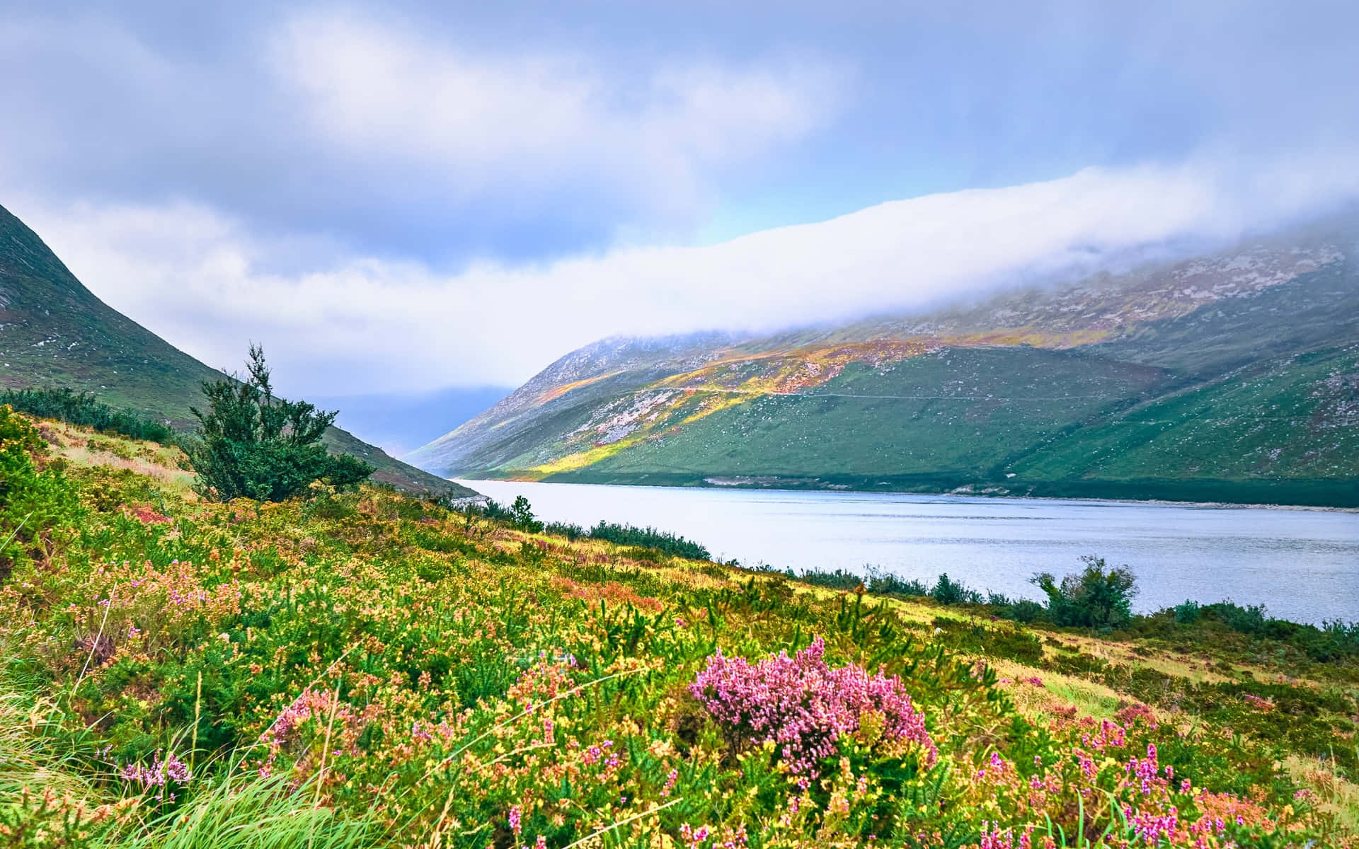 Mourne Mountains Landscape Newry Wallpaper