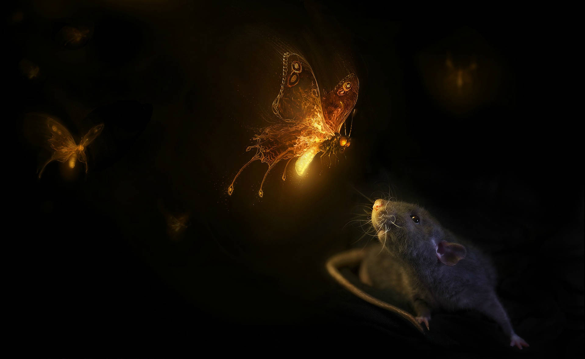 Mouse And Glowing Butterfly Wallpaper