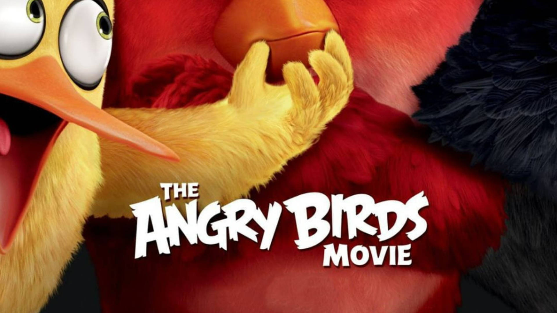 Movie Poster Of The Angry Birds Movie Wallpaper