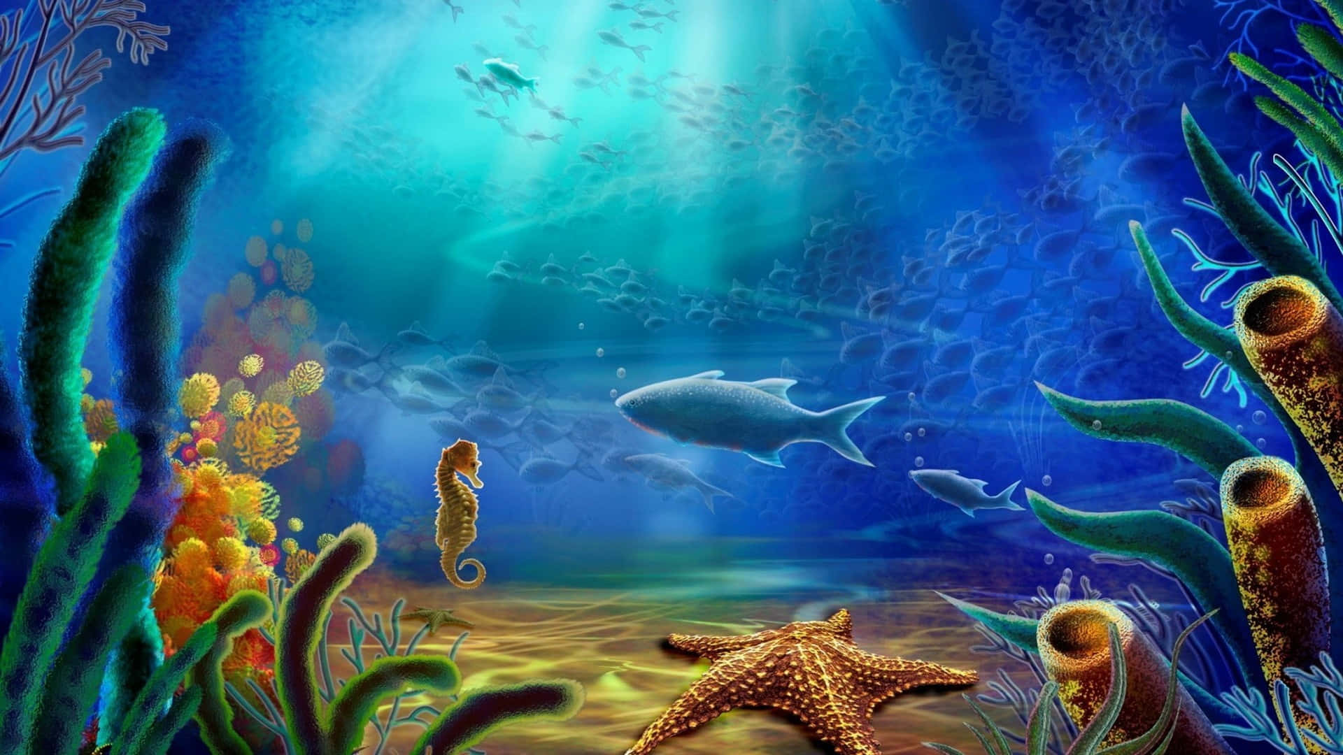 En fortryllende udsigt til havets undervandsverden. Wallpaper