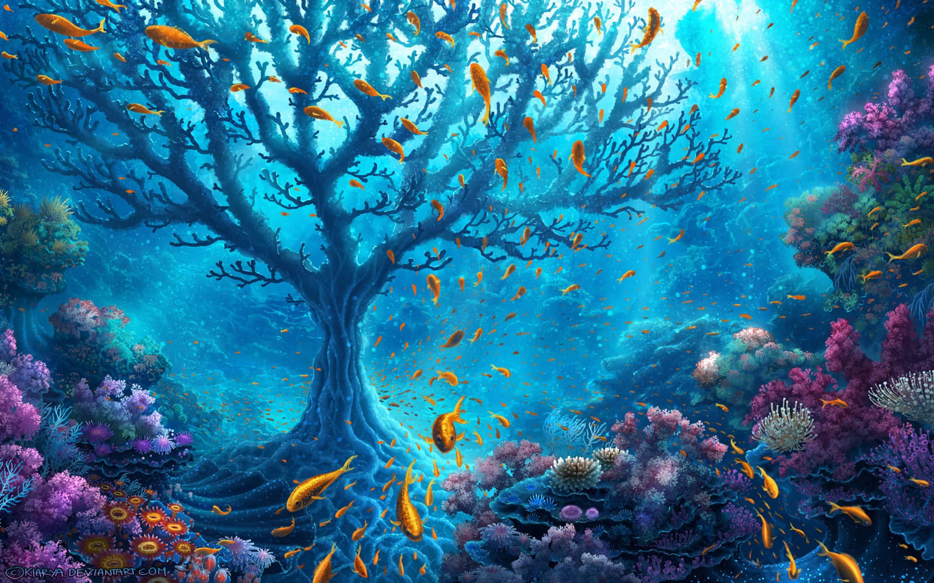 Eintauchenin Das Tiefblaue Meer Wallpaper