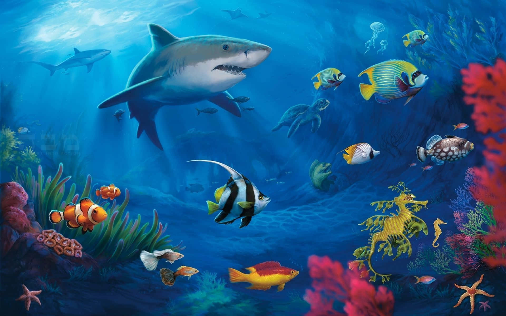 A Painting Of A Shark And Other Fish In The Ocean Wallpaper