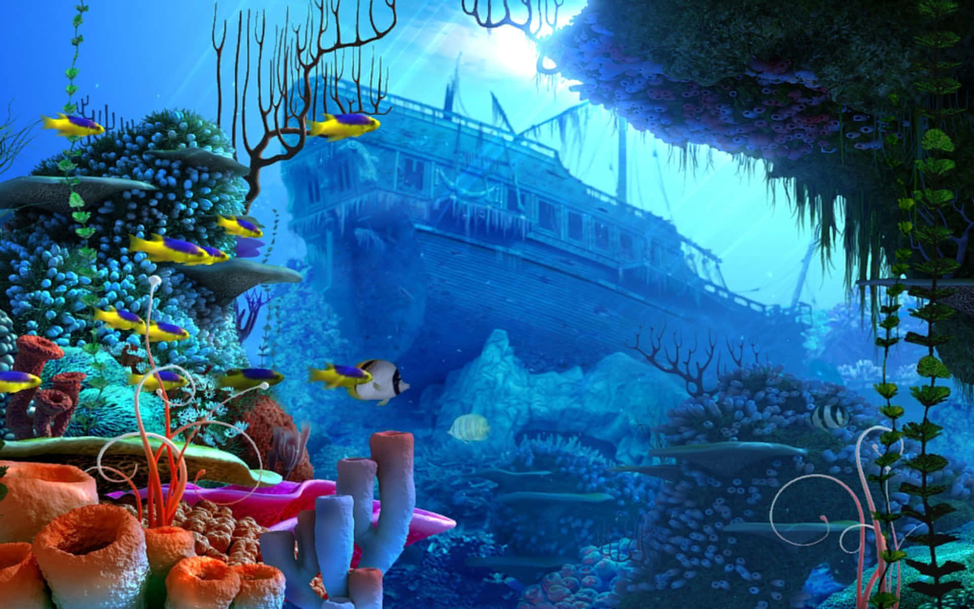 Erkundeeine Faszinierende Unterwasserwelt. Wallpaper