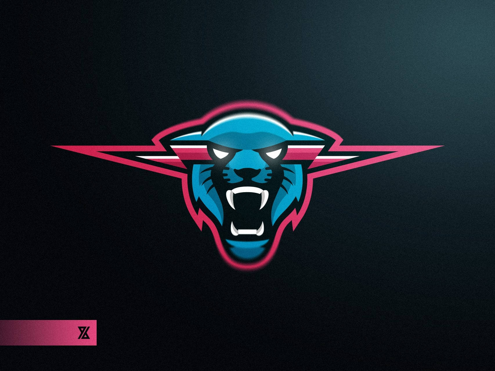 Mr Beast Logo Facing Front Design Wallpaper