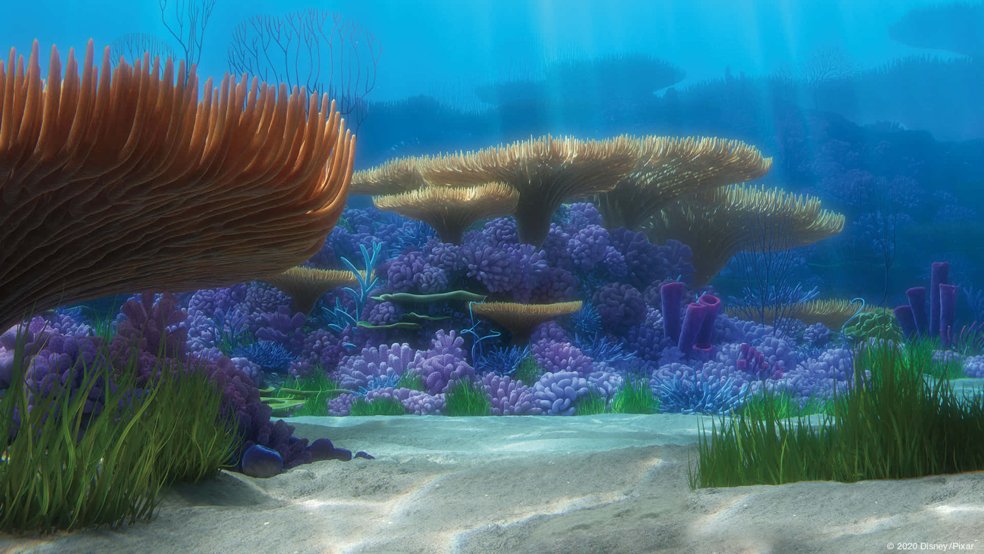 A Screenshot Of An Underwater Scene With Corals And Plants