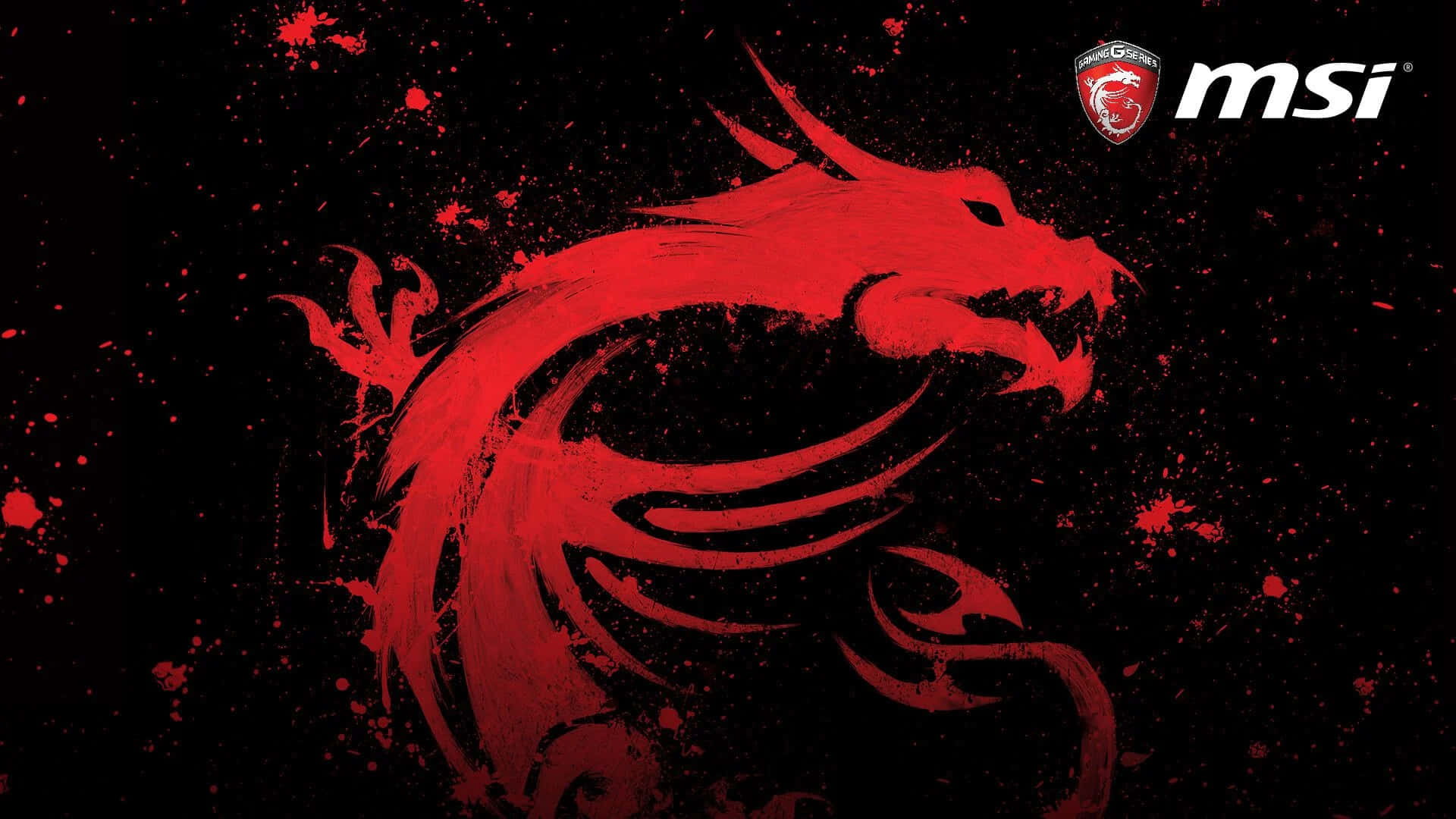 Conquer Every Battlefield on MSI
