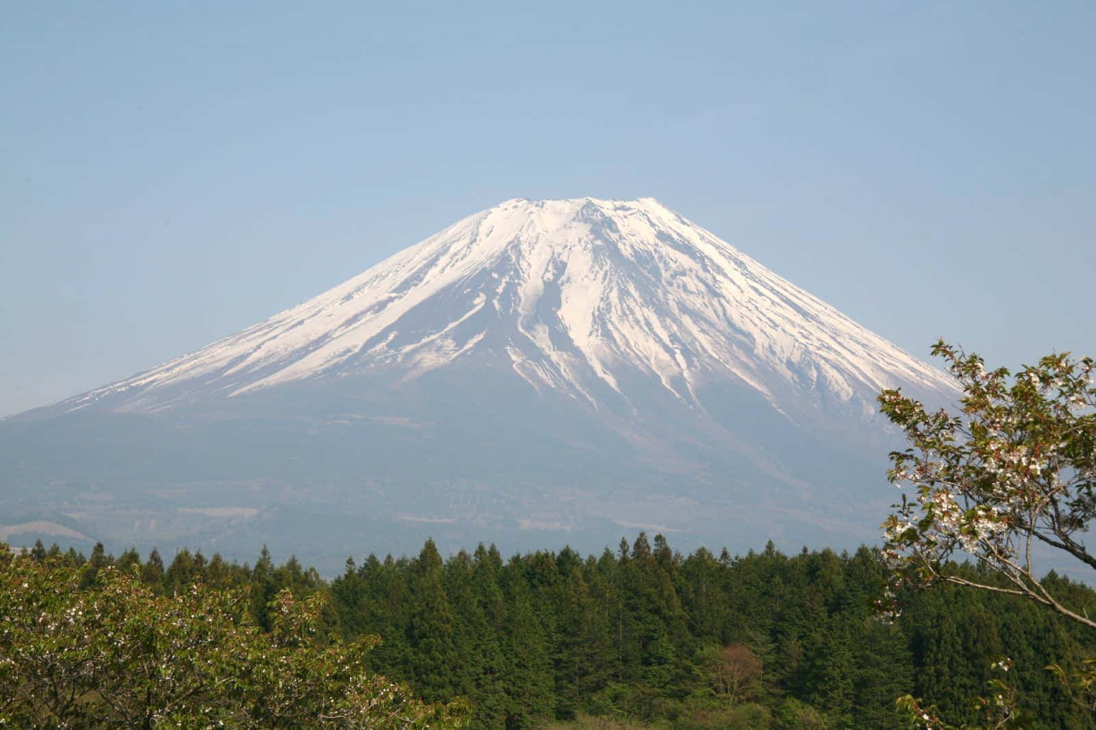 Denmajestätiska Mt. Fuji I All Sin Härlighet