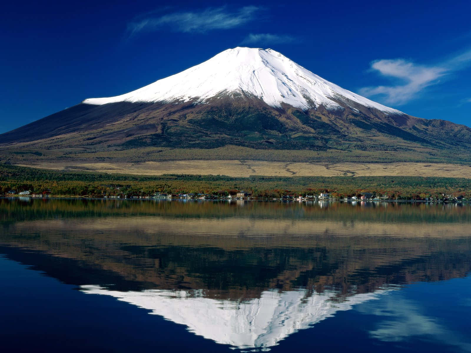 Förloradig I En Vacker Horisont Med Majestätiska Berget Fuji