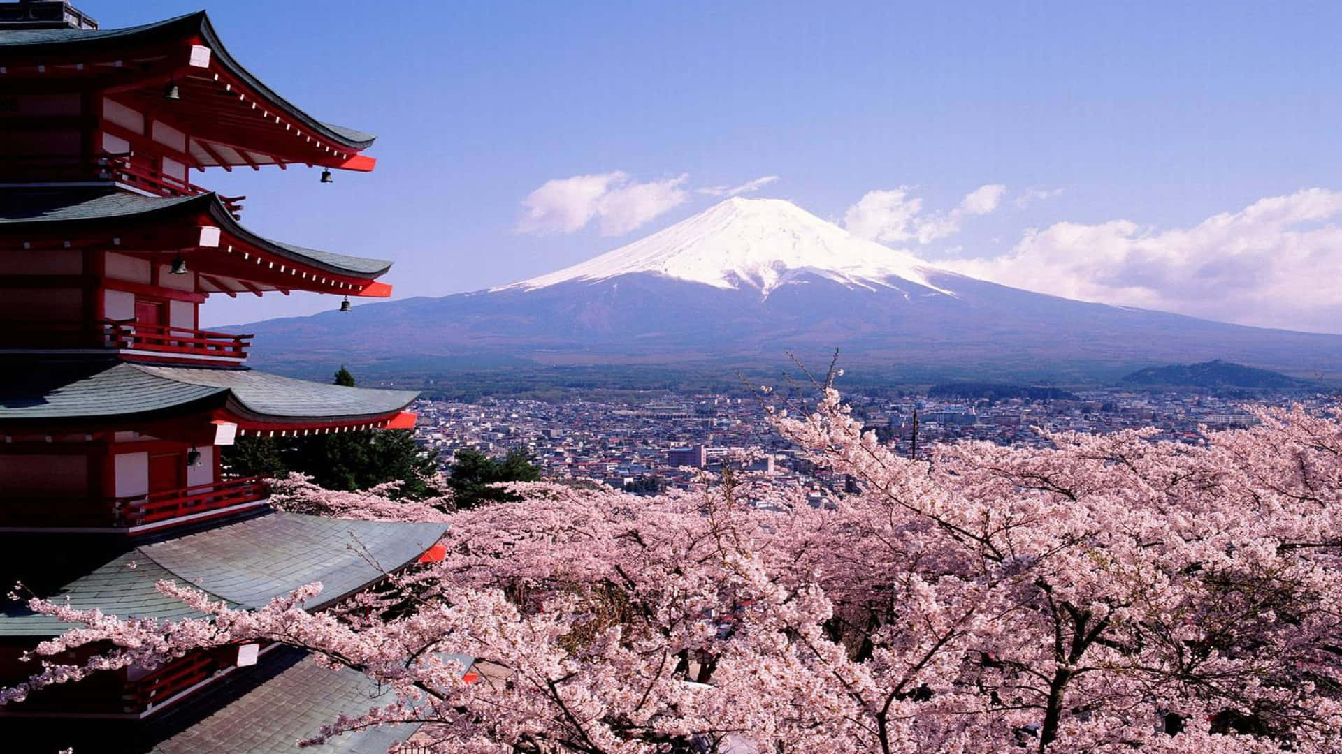 A Pagoda With Cherry Blossoms And A Mountain In The Background